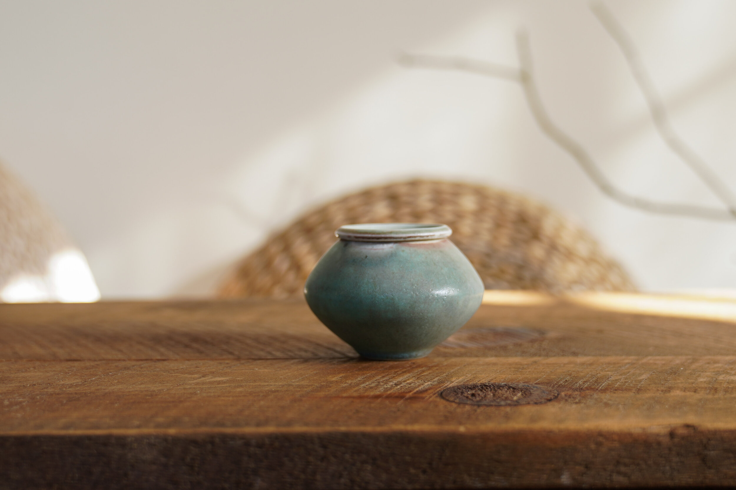 Rainy Forest Tea Jar