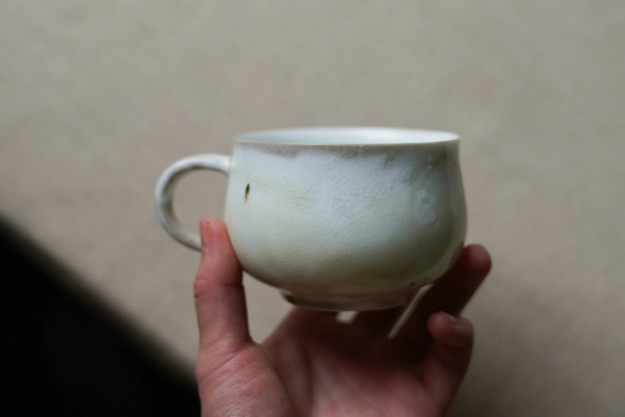 DSC03519-2.jpg