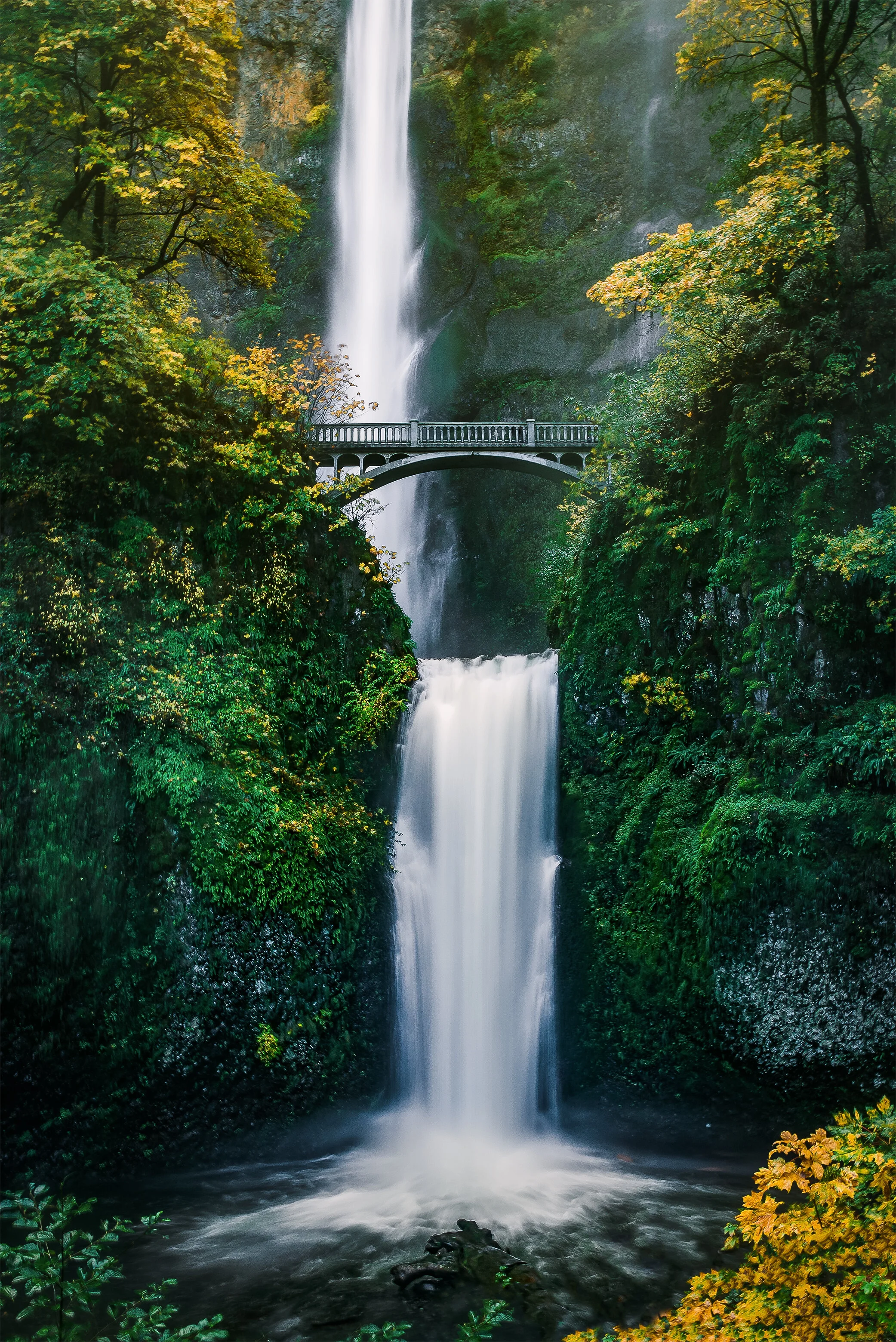 portland waterfall landscape.jpg