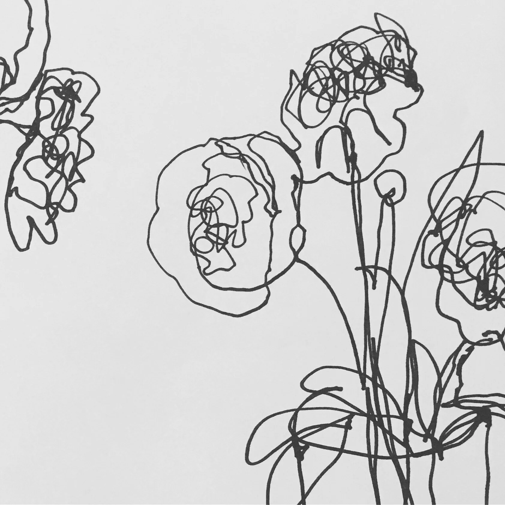 The Benefits of Blind Contour Drawing