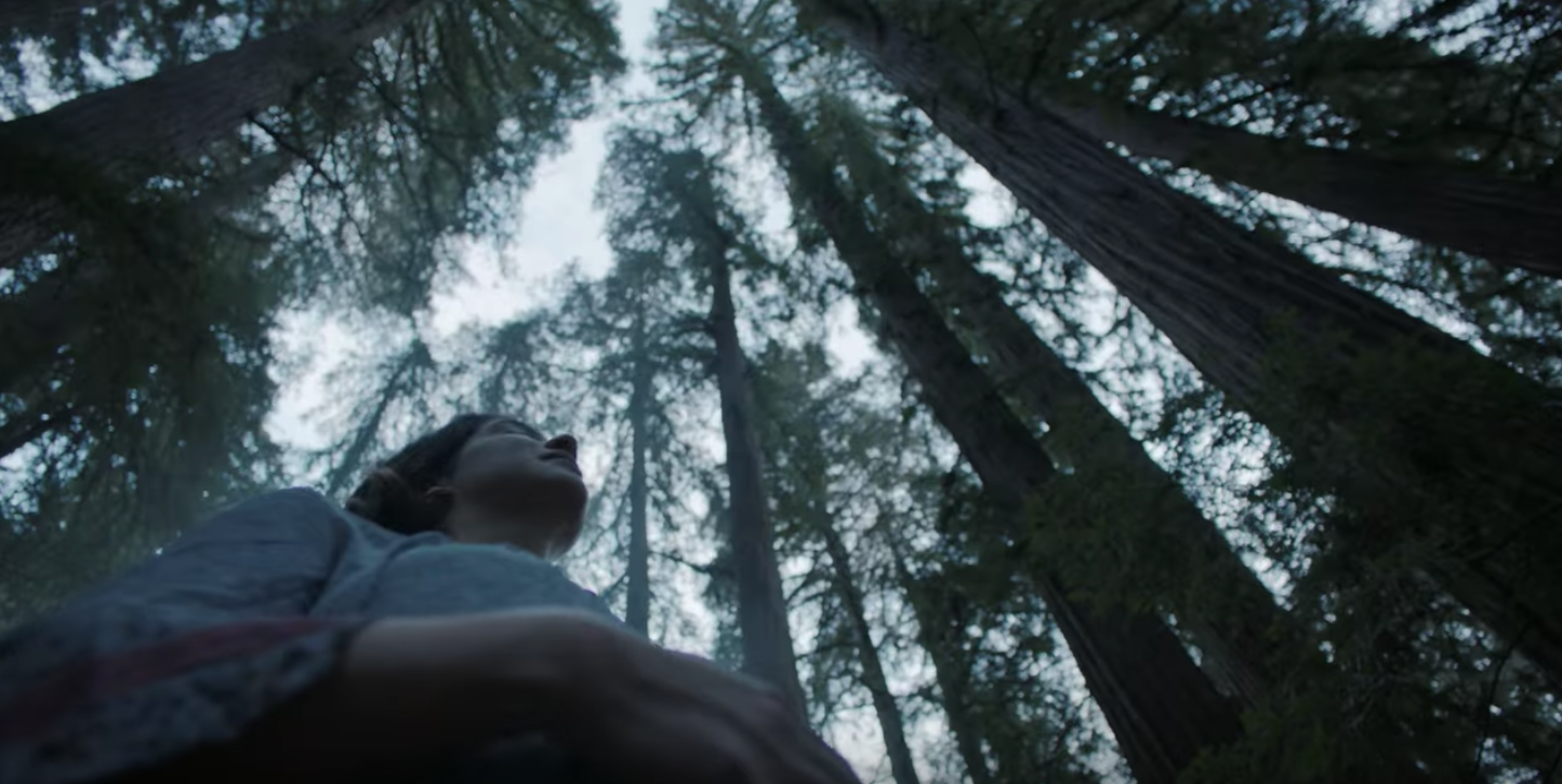 You may recognize that voice :-)