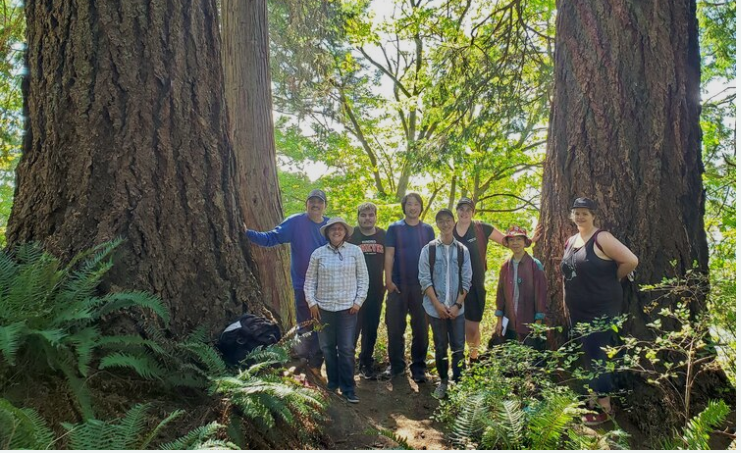 UBC Old-Growth Walk