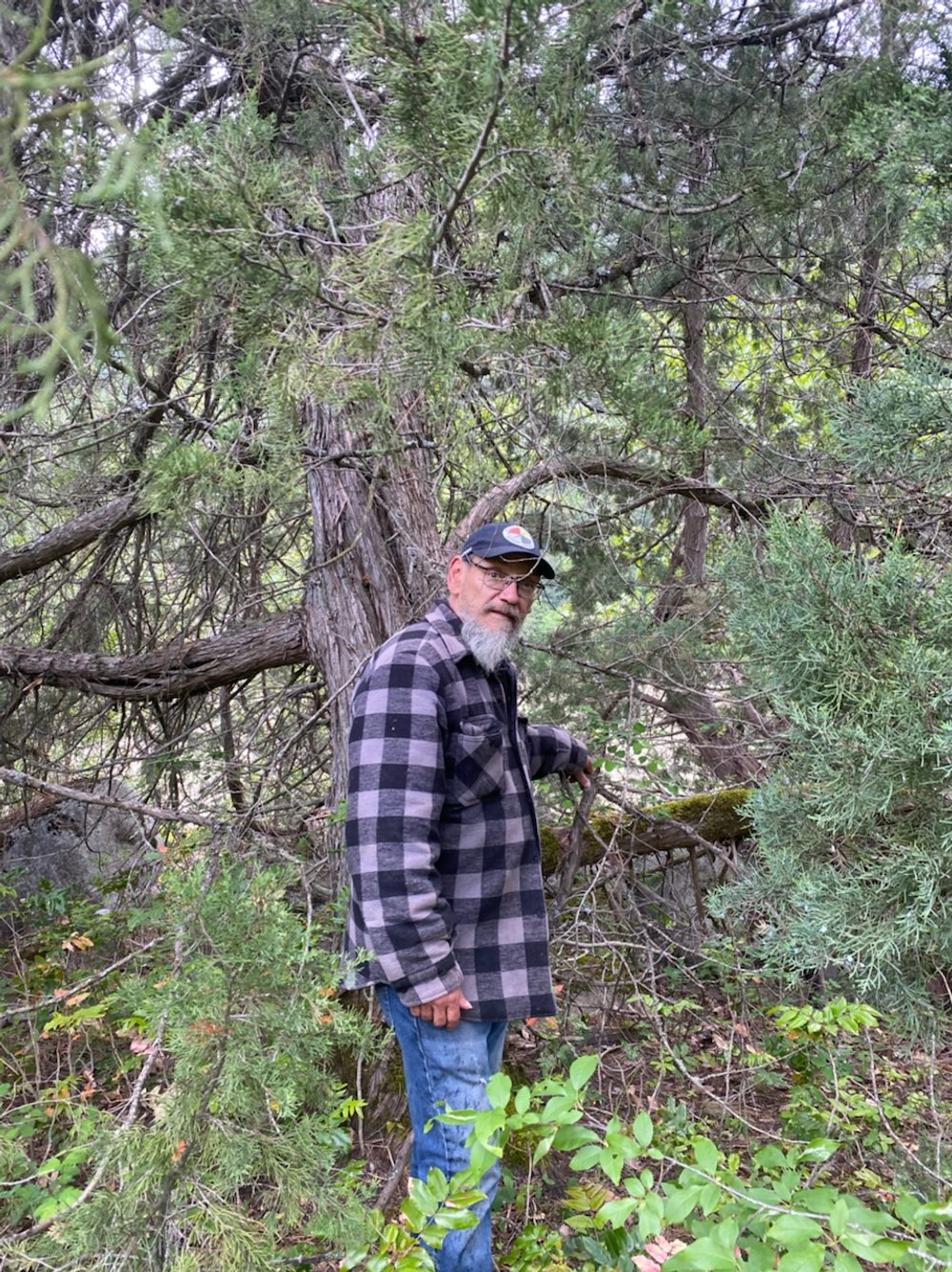 Chief Michell and Canada’s biggest documented Rocky Mountain juniper (in proposed IPCA)