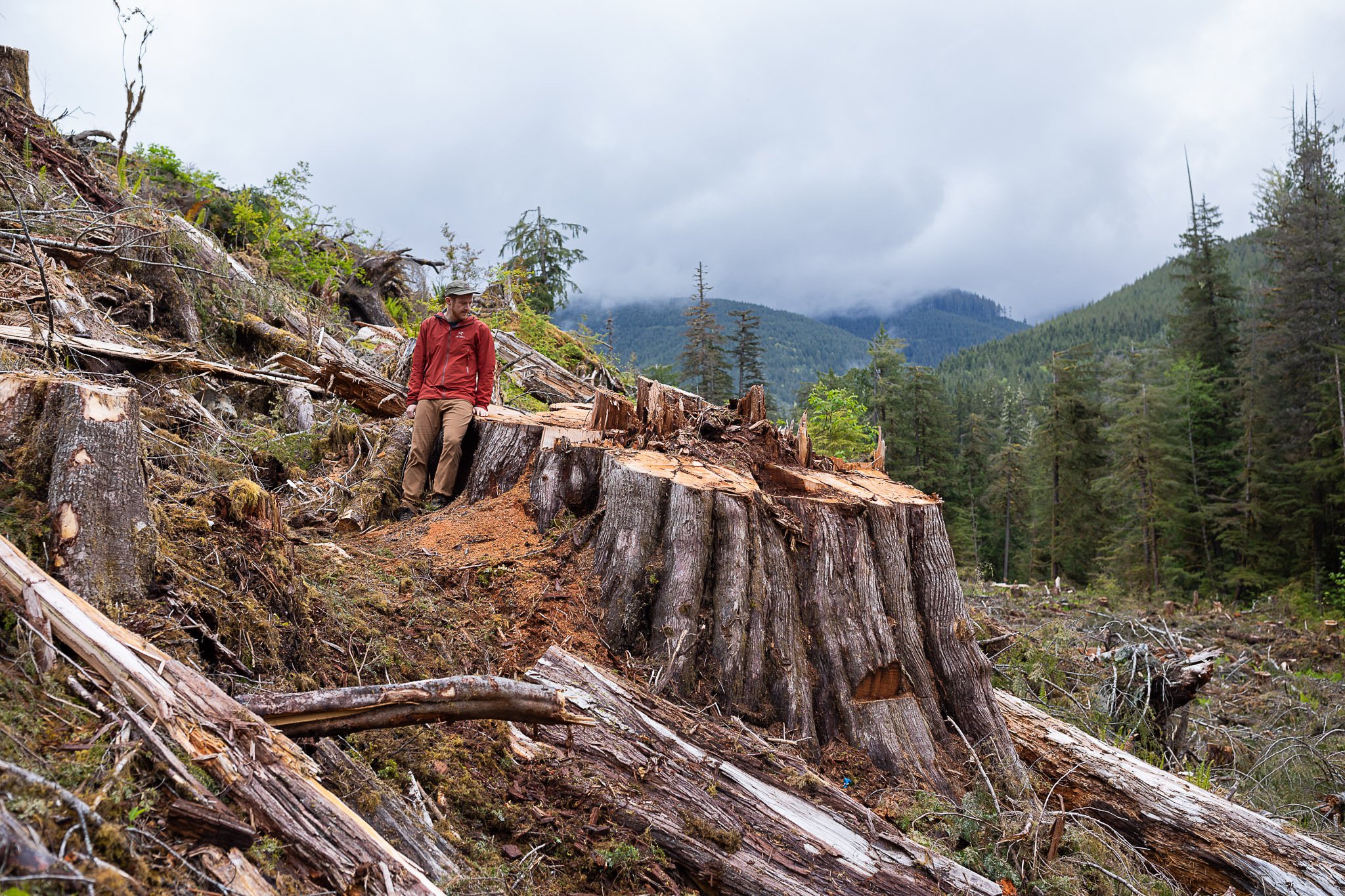  Ancient Forest Alliance Campaigner &amp; Photographer TJ Watt stands atop the stump of an old-growth redcedar tree cut by Teal-Jones in a recommended deferral area in the Caycuse Valley in Ditidaht territory.. Photo credit: TJ Watt - Ancienct Forest