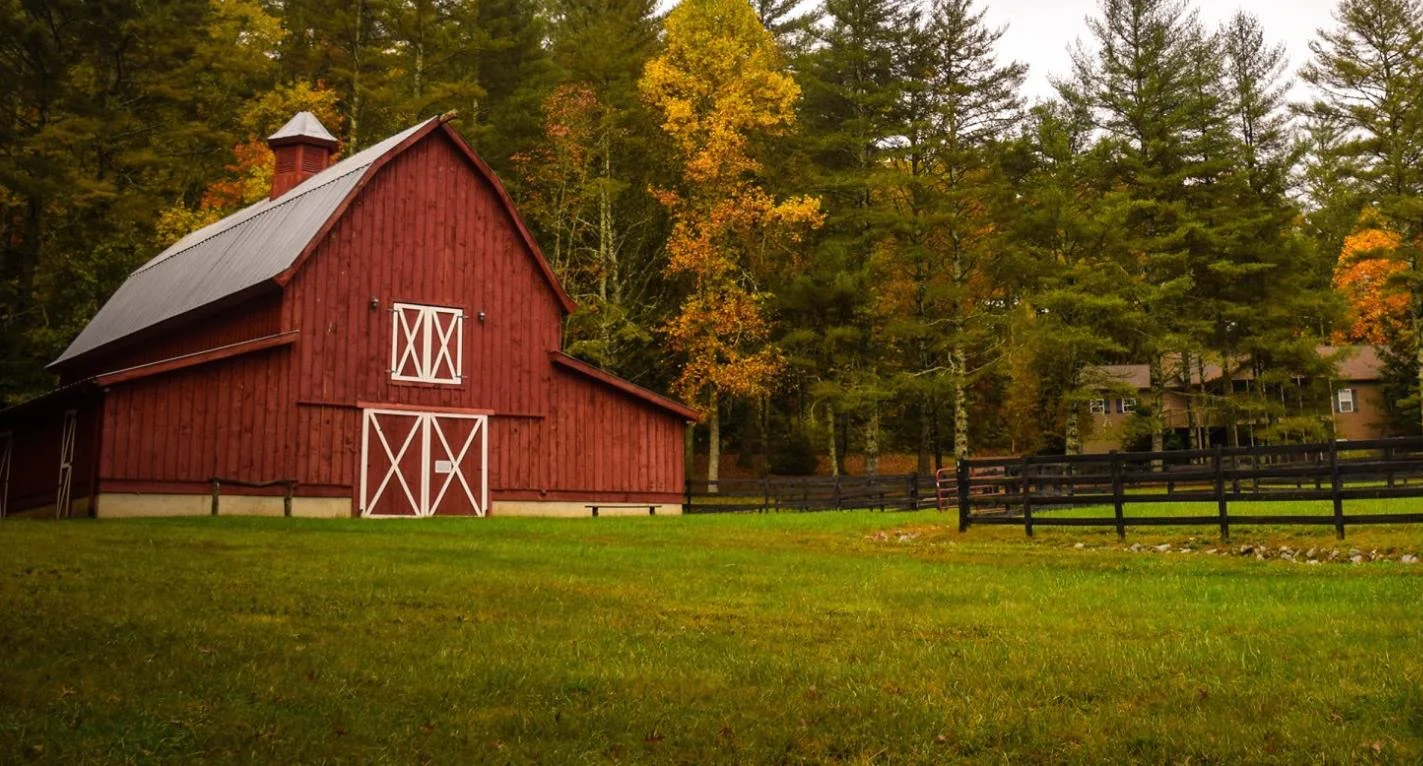 Why Spend More On Grass-Fed?