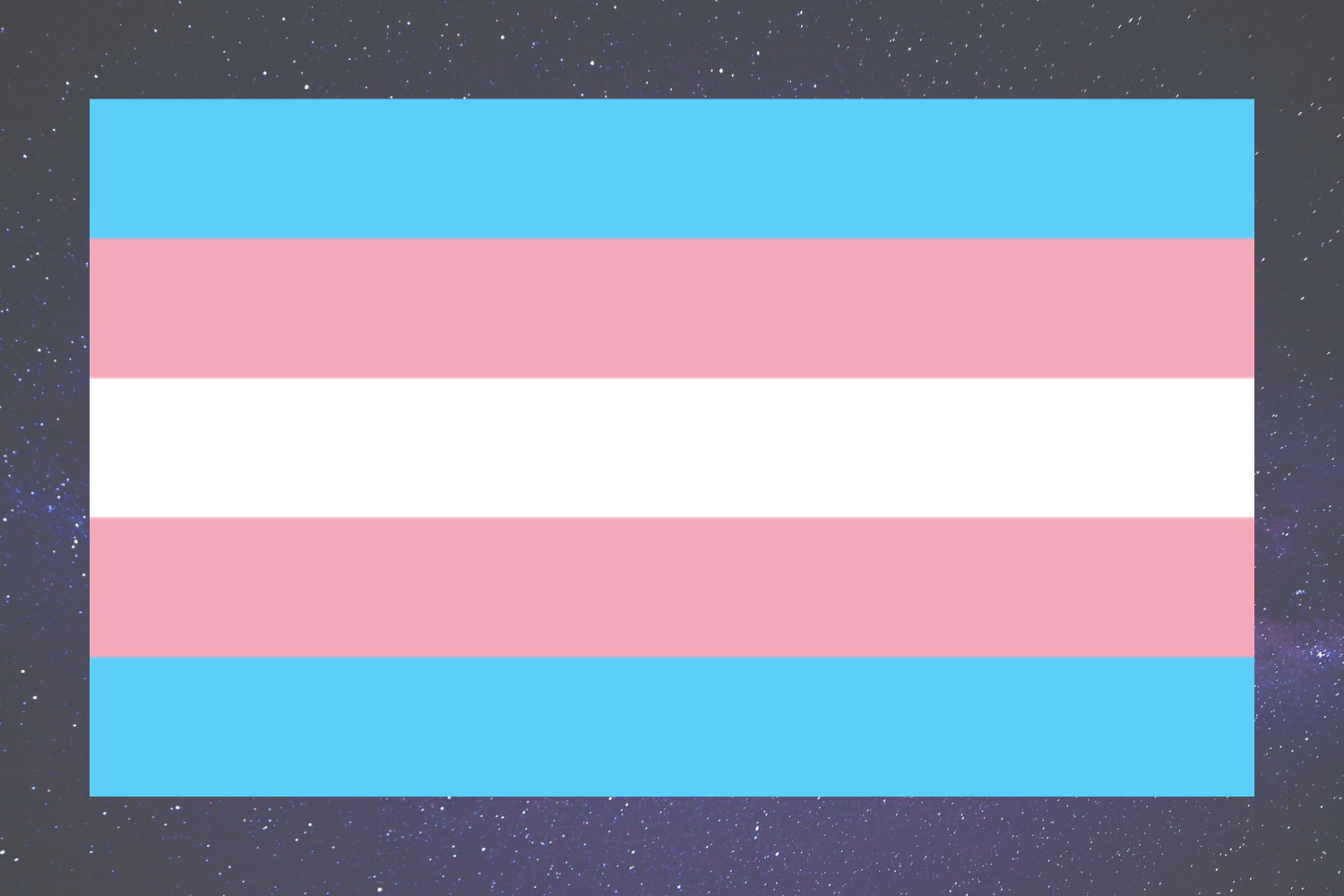 The Transgender Flag - A flag with 5 horizontal stripes: two blue stripes on the top and bottom, followed by two pinks stripes above and below a central white stripe. The blue represents men and boys, the pink represents women and girls, and the white stripe represents nonbinary people.