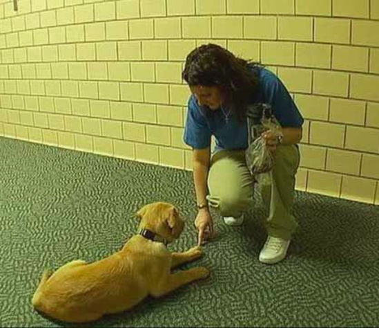 Melinda and the puppy, Angel, donated by Shanda’s mom