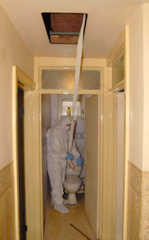 The tether coming from the ceiling used to restrain Shannon (source: The Telegraph)