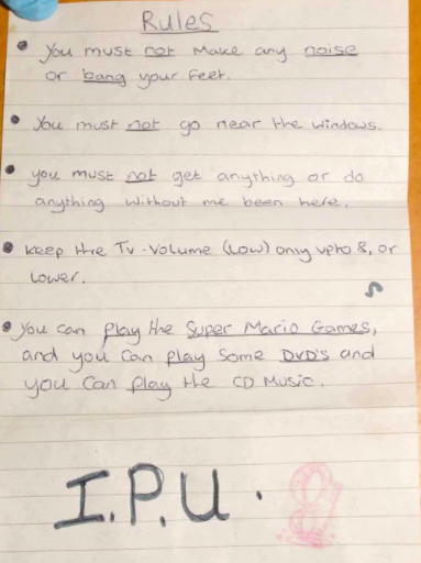 The list of rules Shannon was to abide by while Donovan was out (source: The Telegraph)