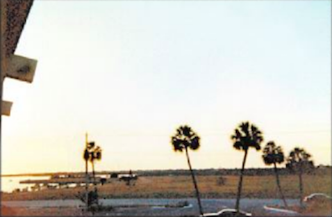 The photo taken of Tampa Bay from the motel room balcony (source: Murderpedia)
