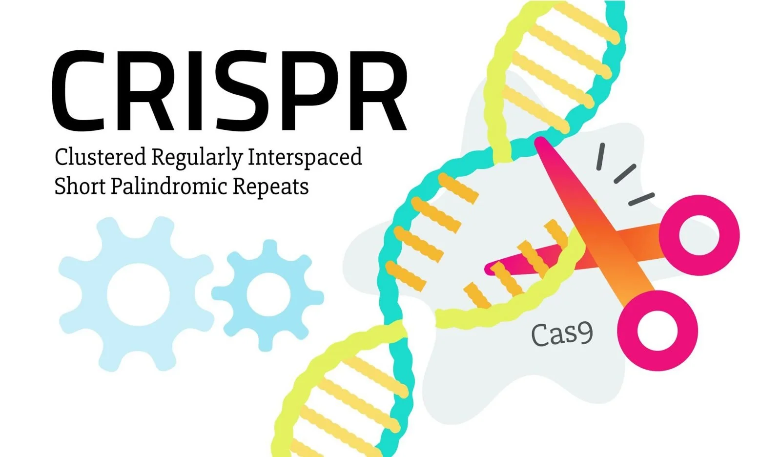 crispr-e1533660585287-1153338071.jpeg