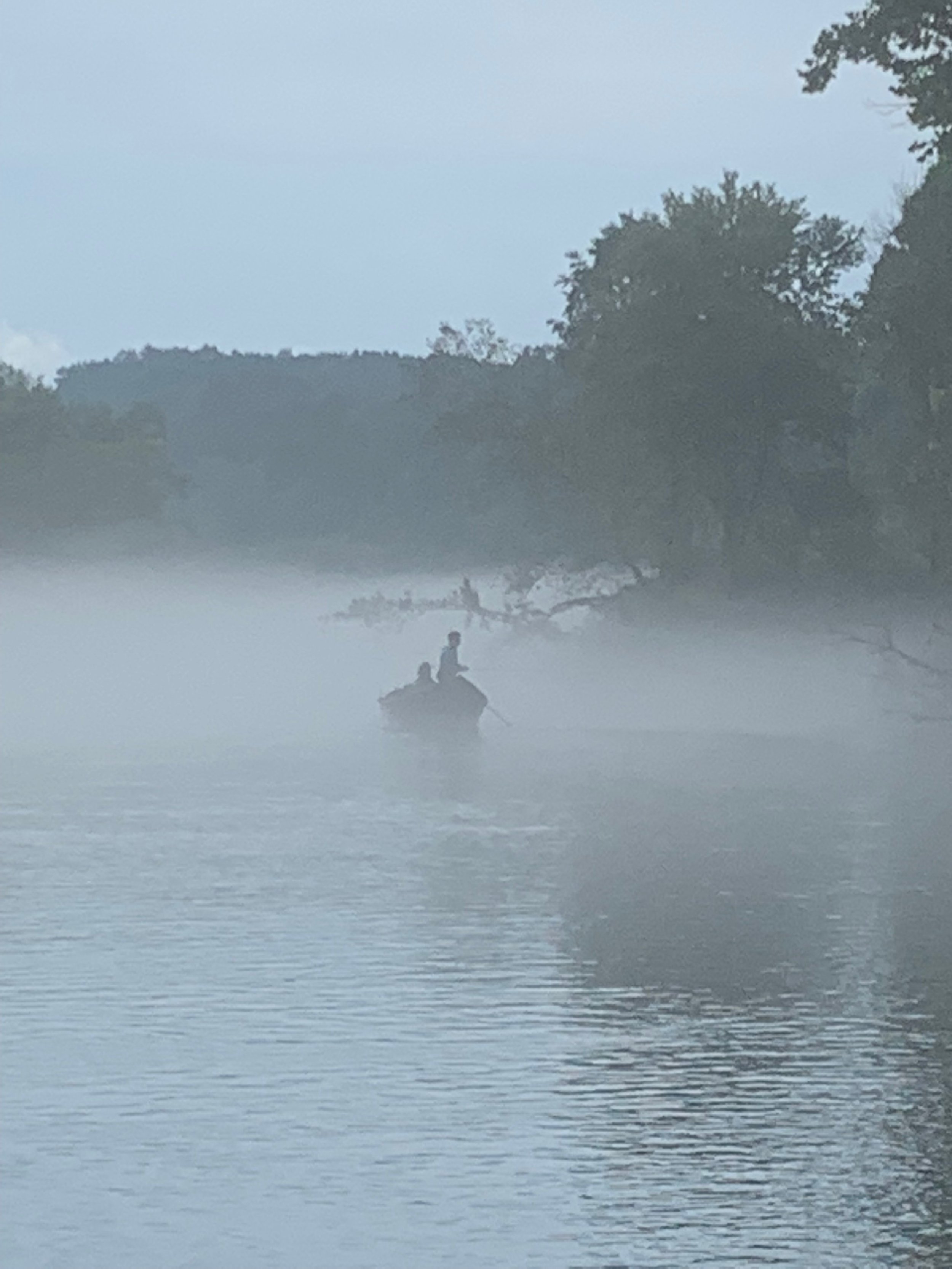 Caddy in the fog.JPEG