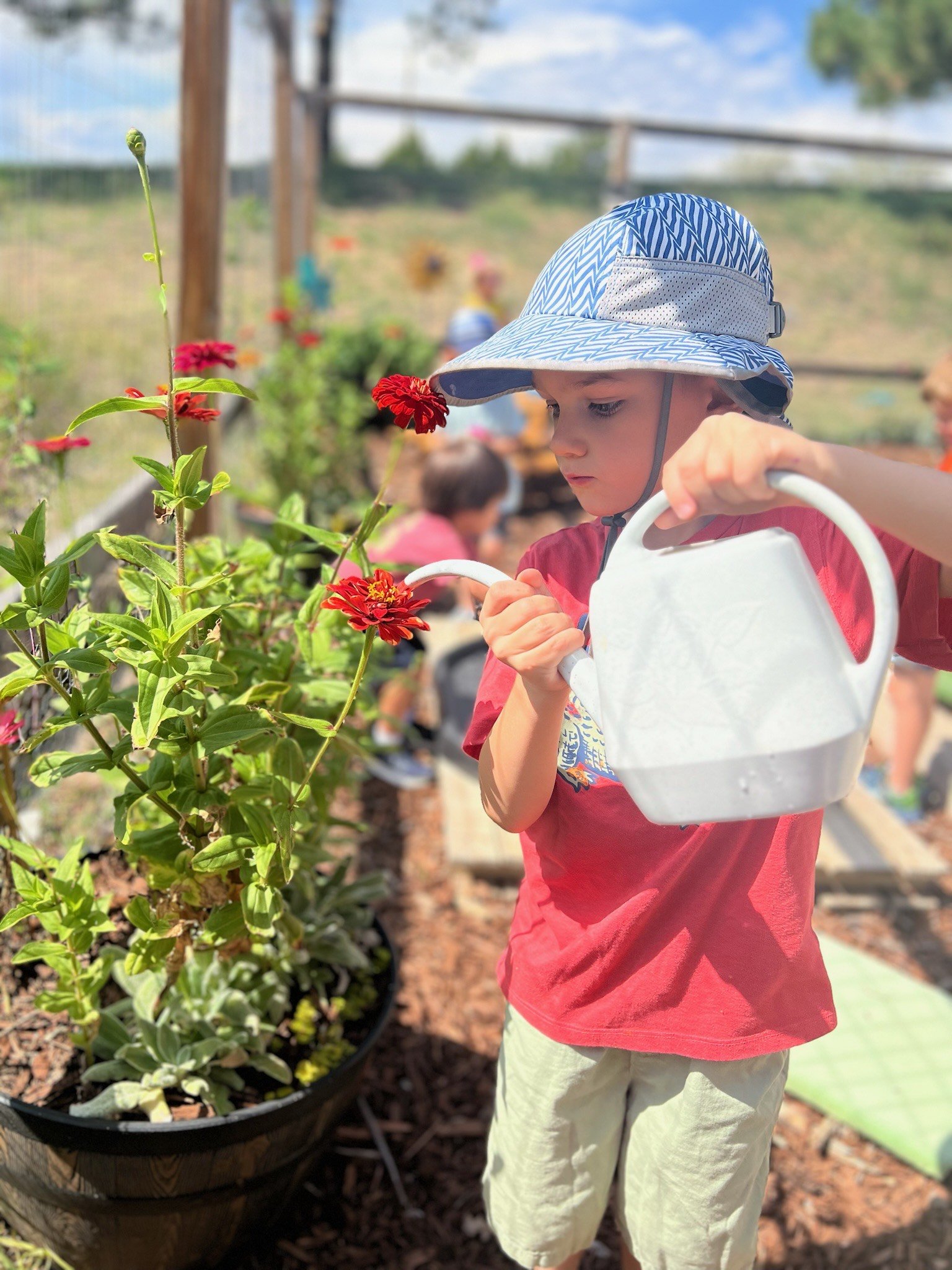 child watering garden at preschool