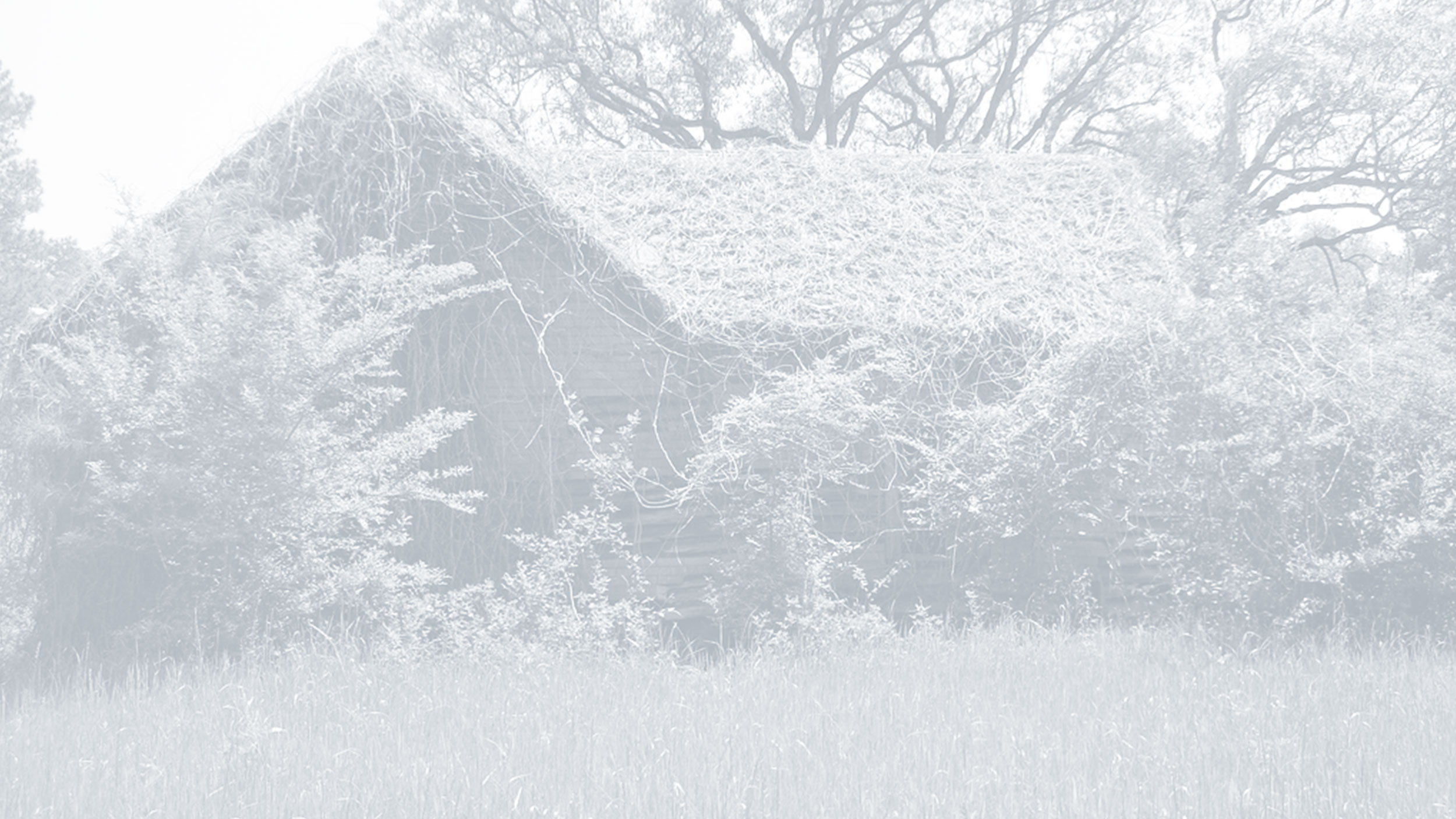 ivyhouse_image.jpg