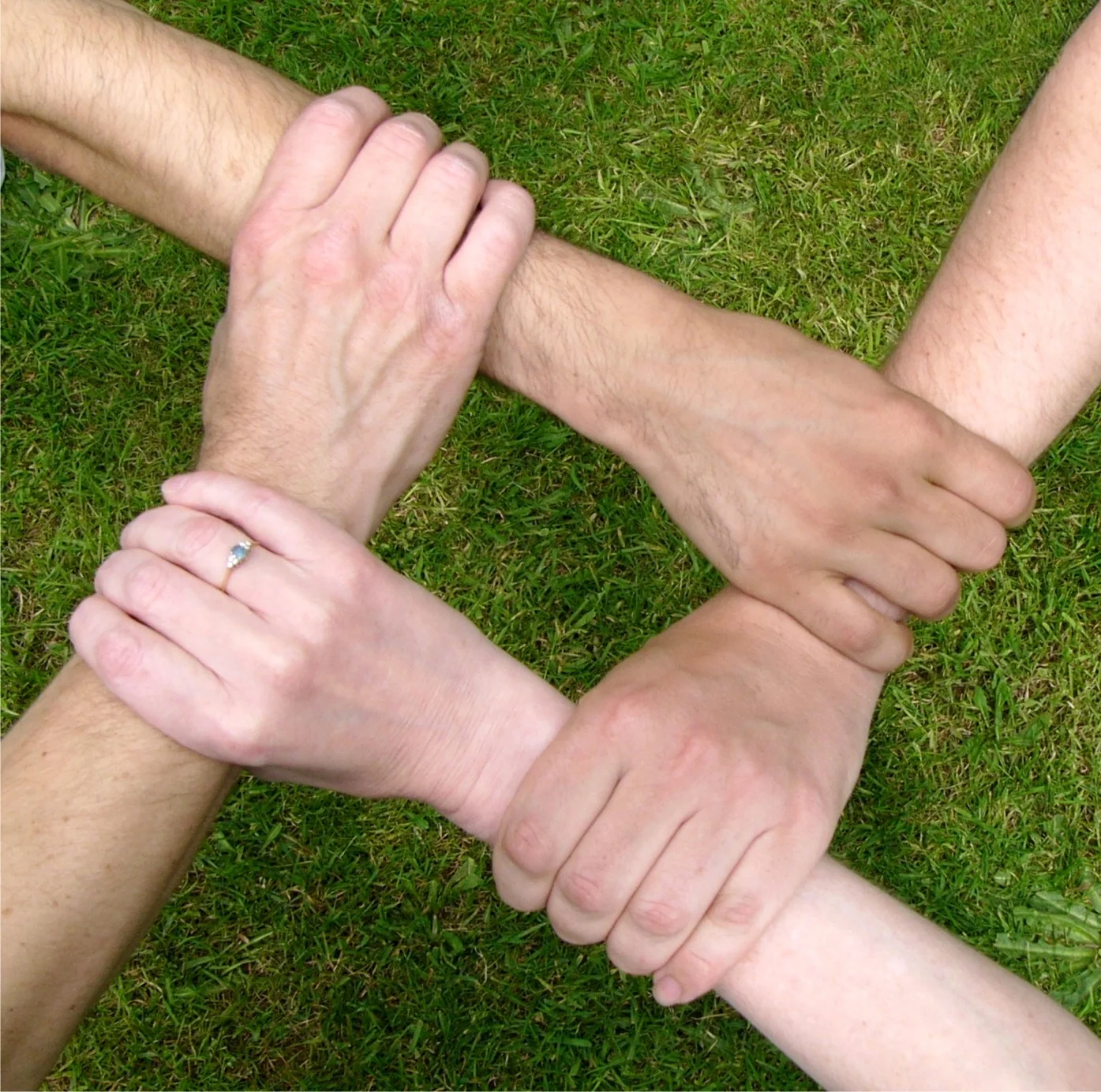 Team.jpg