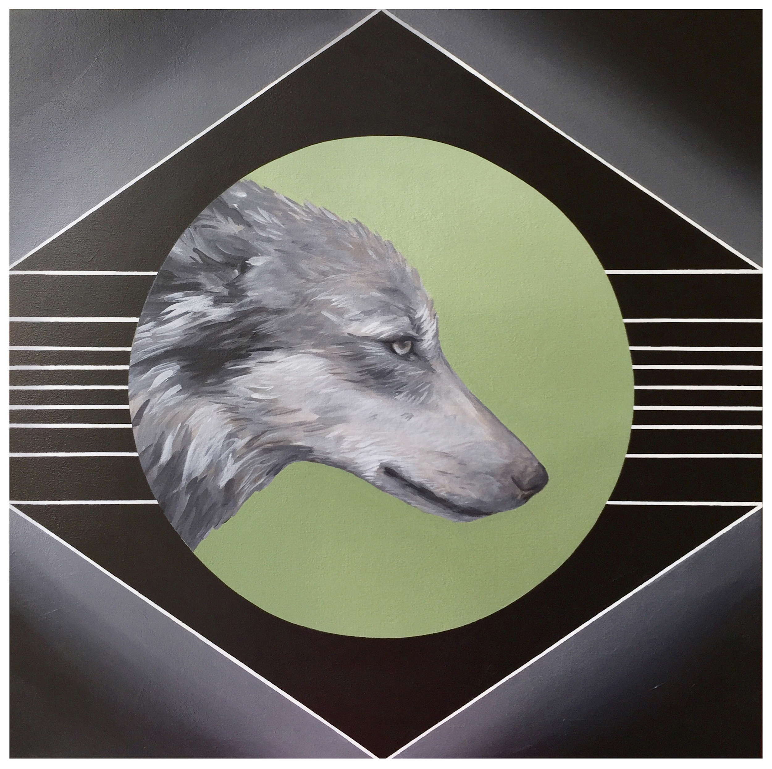 Coastal Wolf, 20" x 20", Acylic on Wood Panel