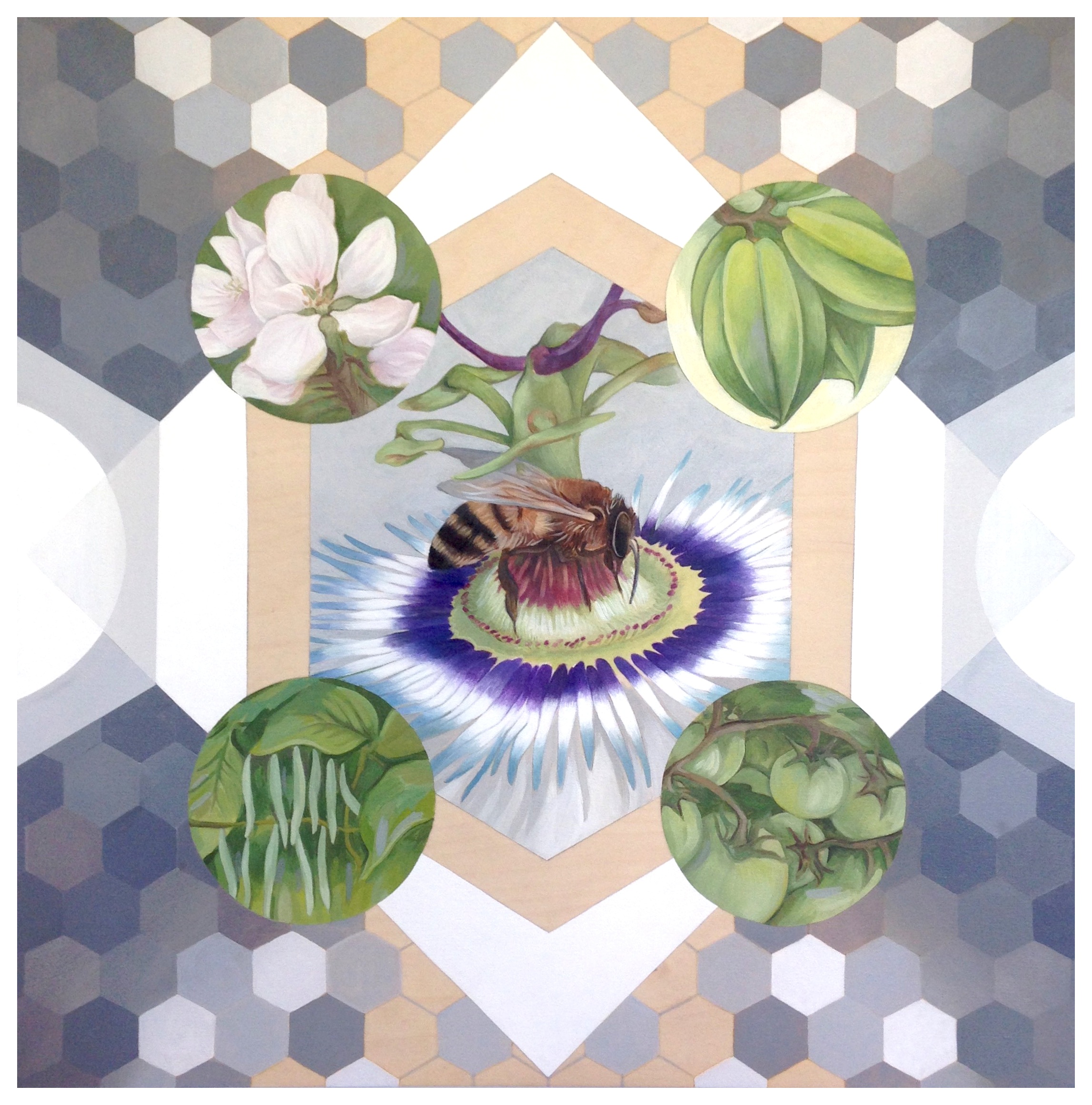 Pollinator, 20" x 20", Acrylic on Wood Panel