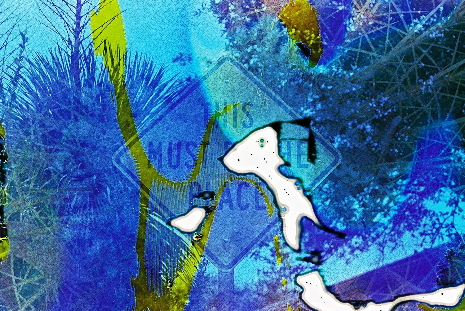 2022442023-R1-052-24A_EDIT copy.JPG