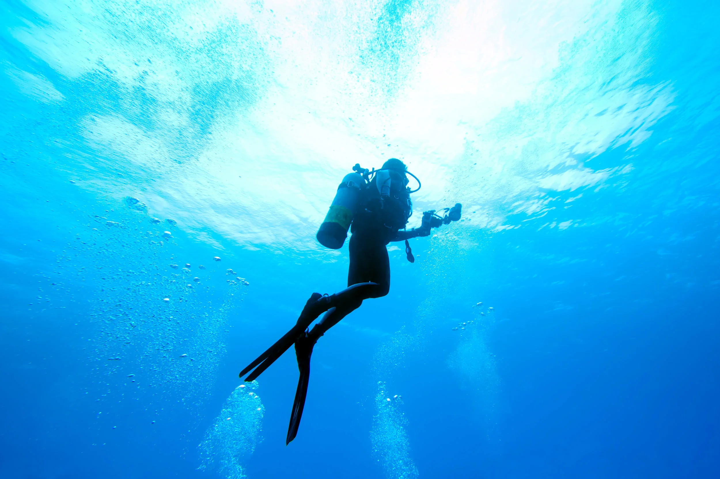 shutterstock_120693040.jpg