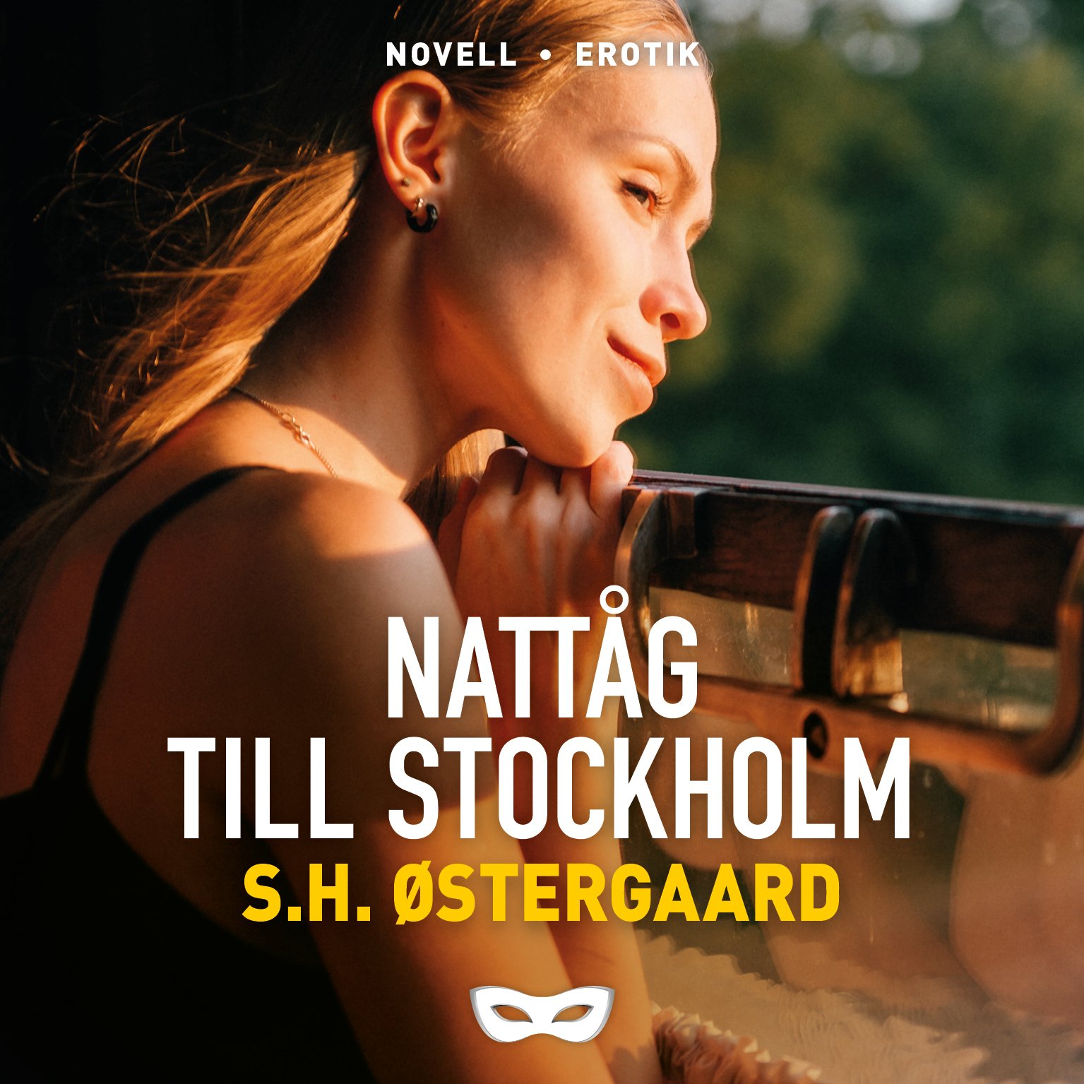 NATT SH Östergaard Nattåg till Stockholm omslag audio.jpg