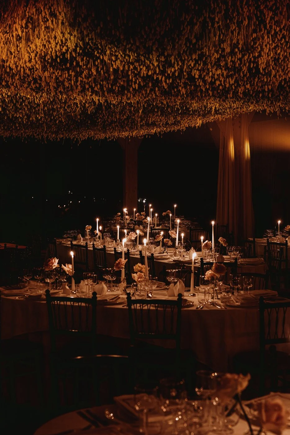 BOF_VOICES_14112024_0026 copy 2.jpg