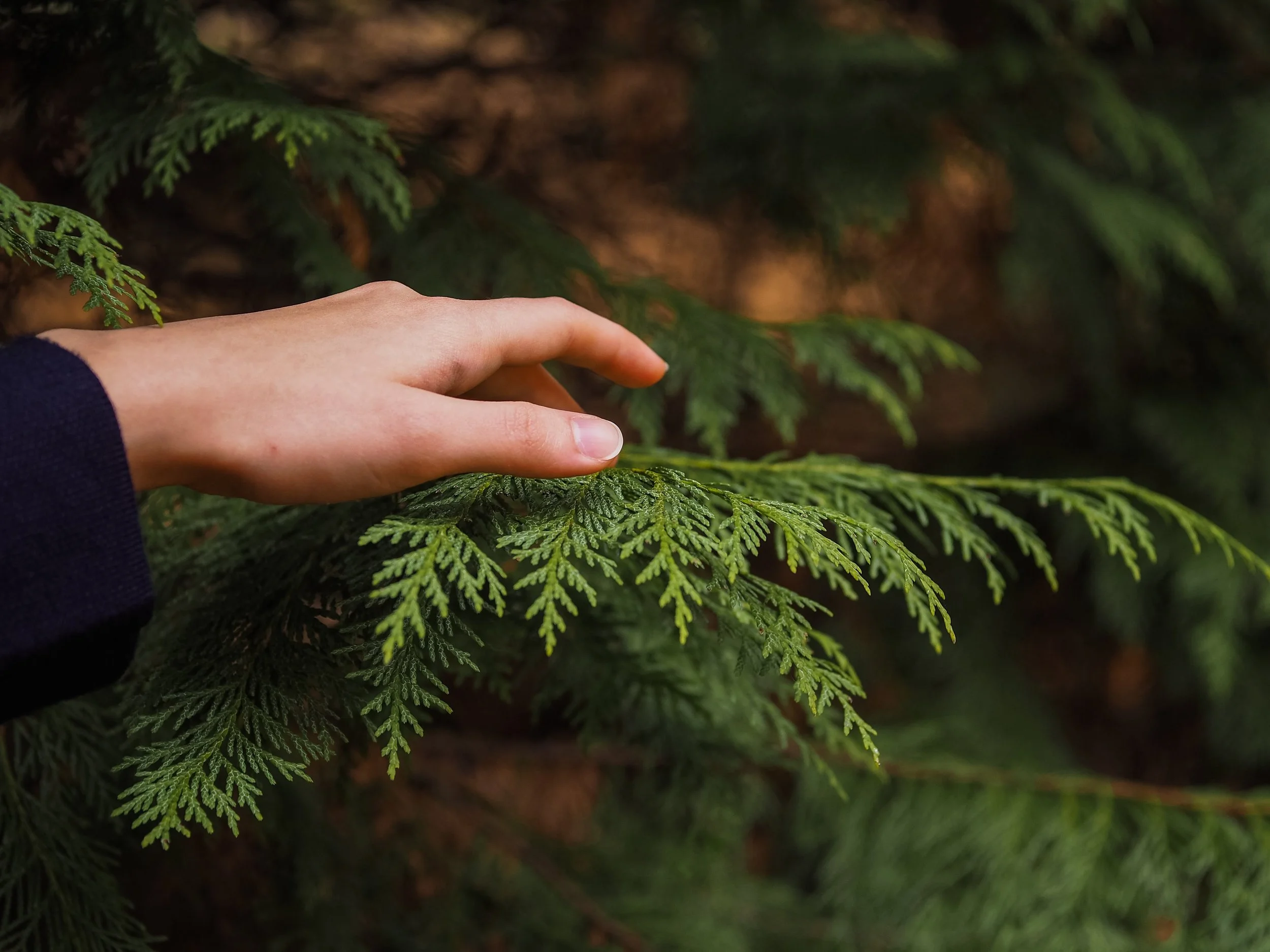 Mindful Living Mindfulness 4.jpg