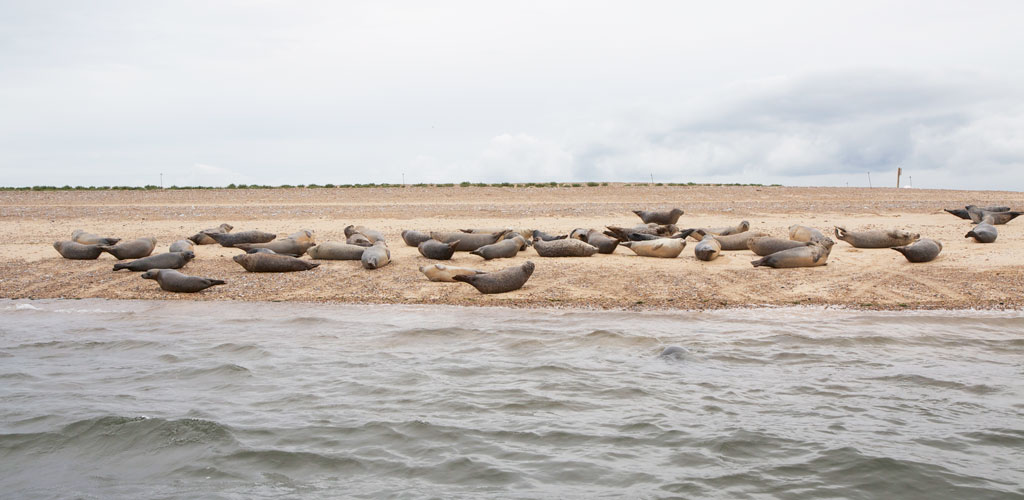 TS_Places_Blakeney43.jpg