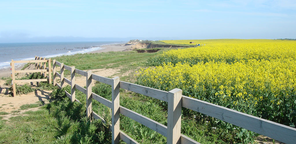 TS_Places_Happisburgh4.jpg