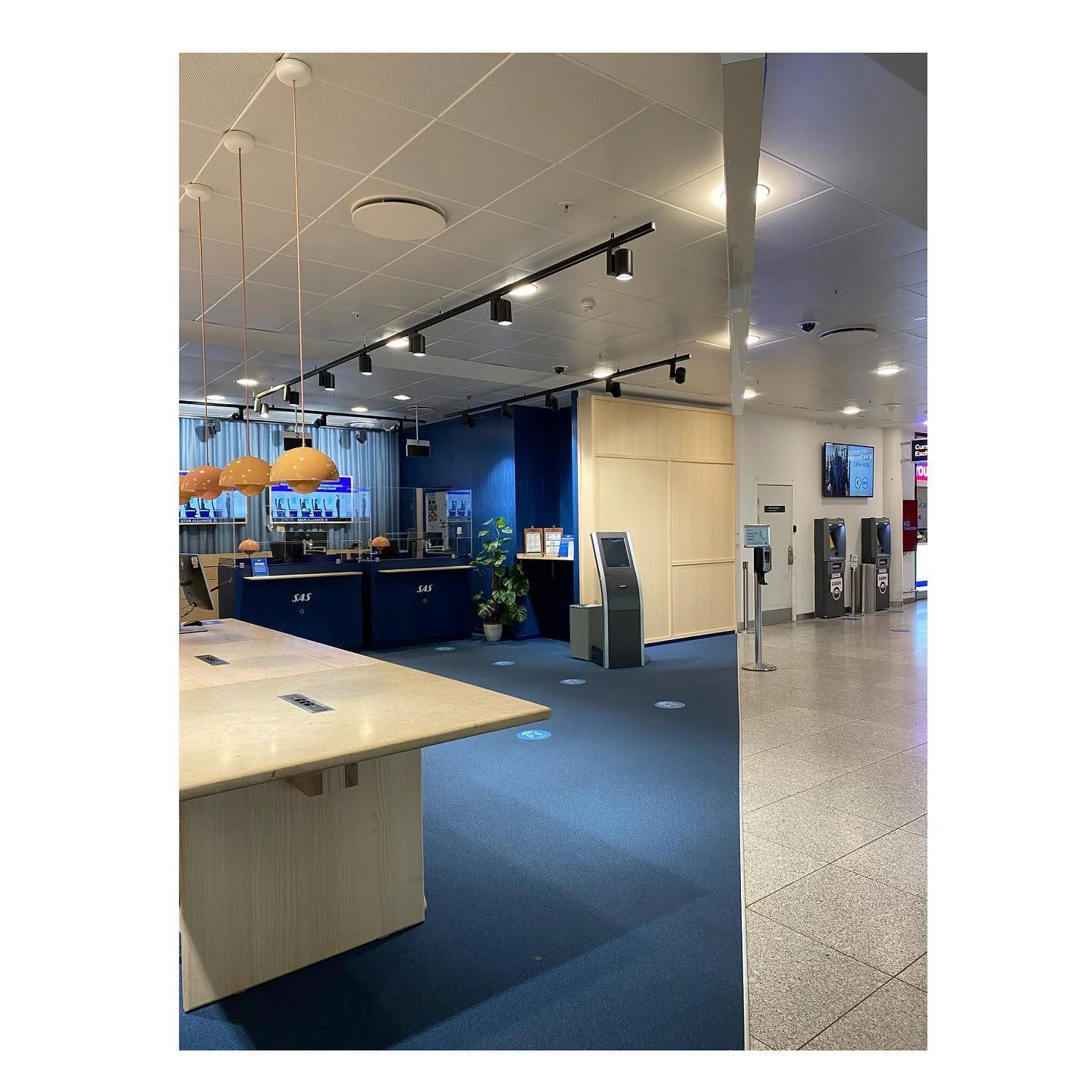 It&rsquo;s just a line after all. ON or OUT. No further alignment needed. @flysas it was awesome. 
.
.
.
#design #scandinaviandesign #flysas #sas #photo #airport #interiordesign #idea #palette #lightblue #electricblue #wood #nature #sky