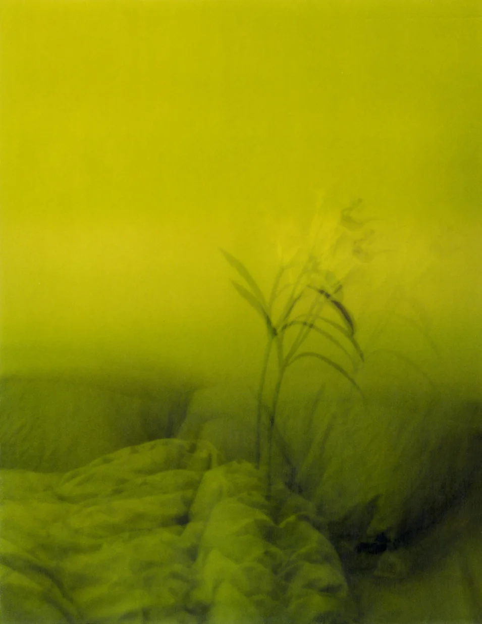 Photograph from the series titled “Nothing But Words To Learn To Lie” by Kotsuhiroi 2012 ©