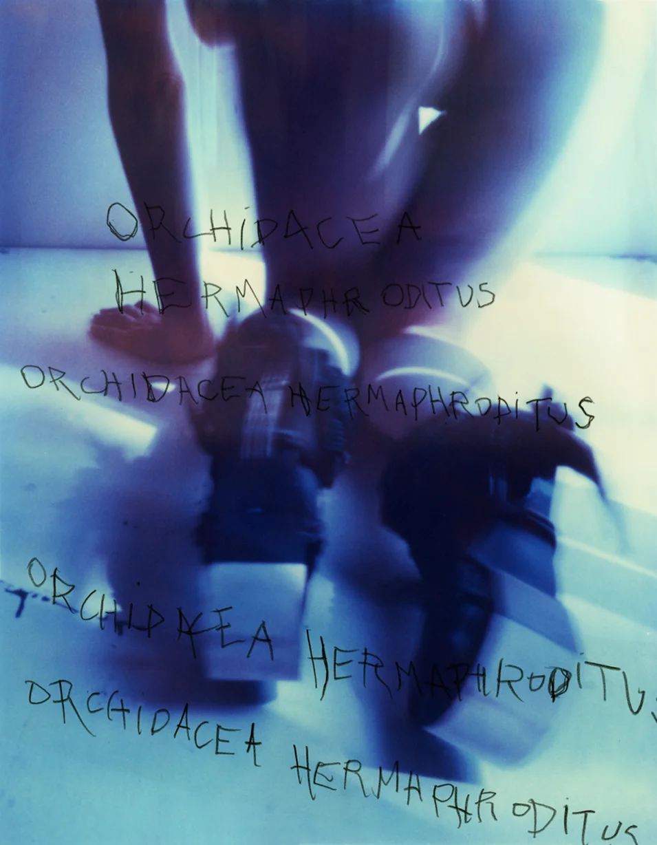 Photograph from the series titled “Nothing But Words To Learn To Lie” by Kotsuhiroi 2012 ©