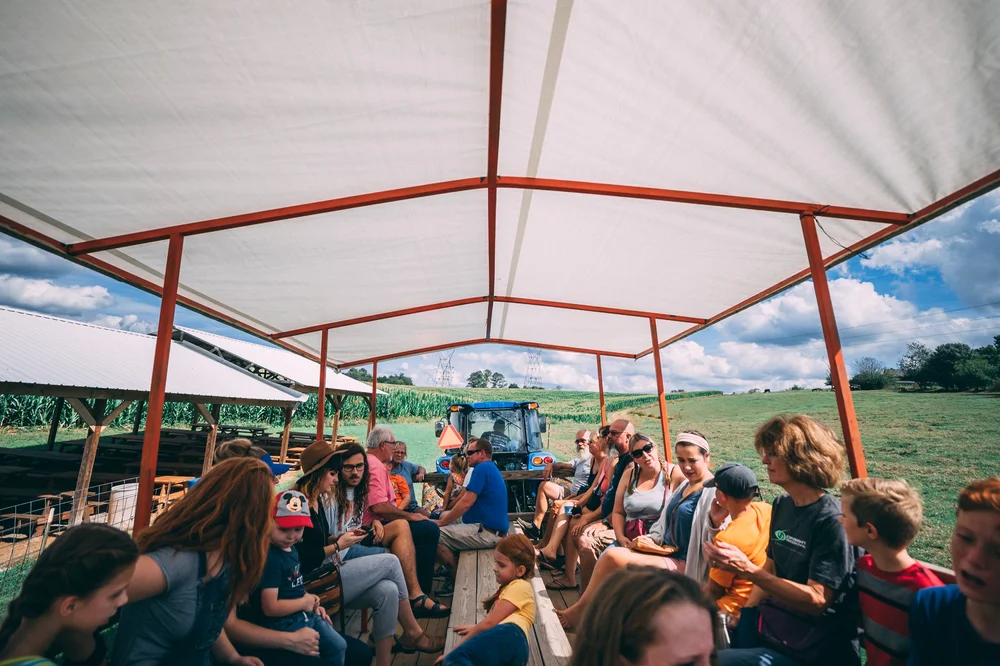 Groups — BALLINGER FARM