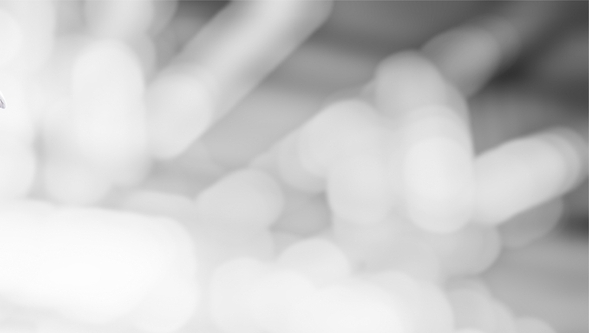 shutterstock_84143449.jpg