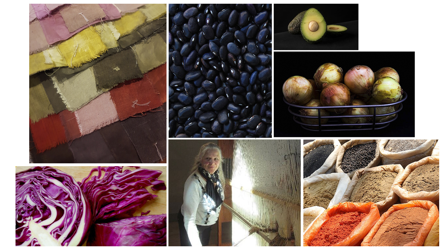 A Natural Dyer's World Part I - Right in Your Kitchen