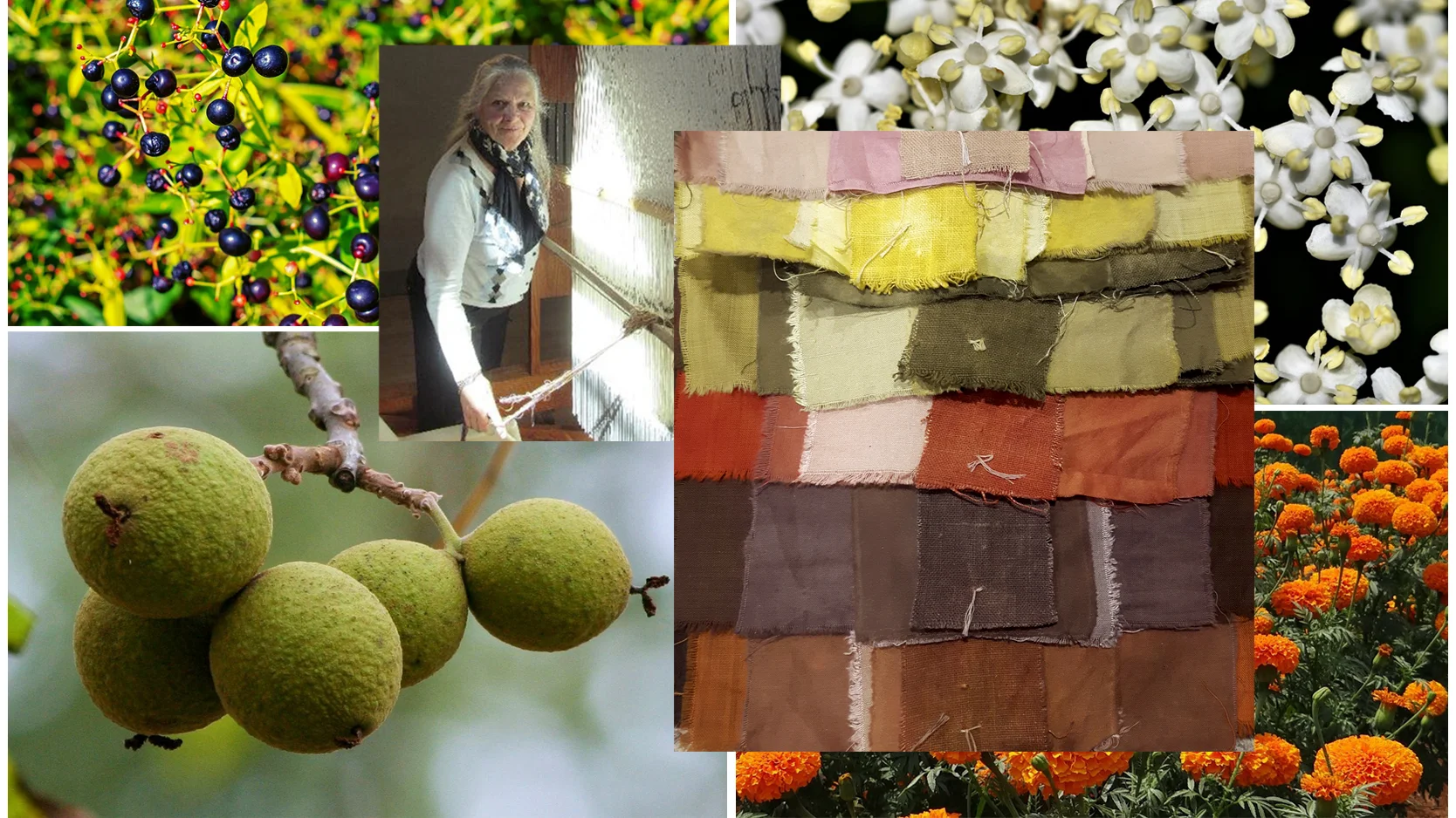 A Natural Dyer's World - Roots, Fruits, and Flowers