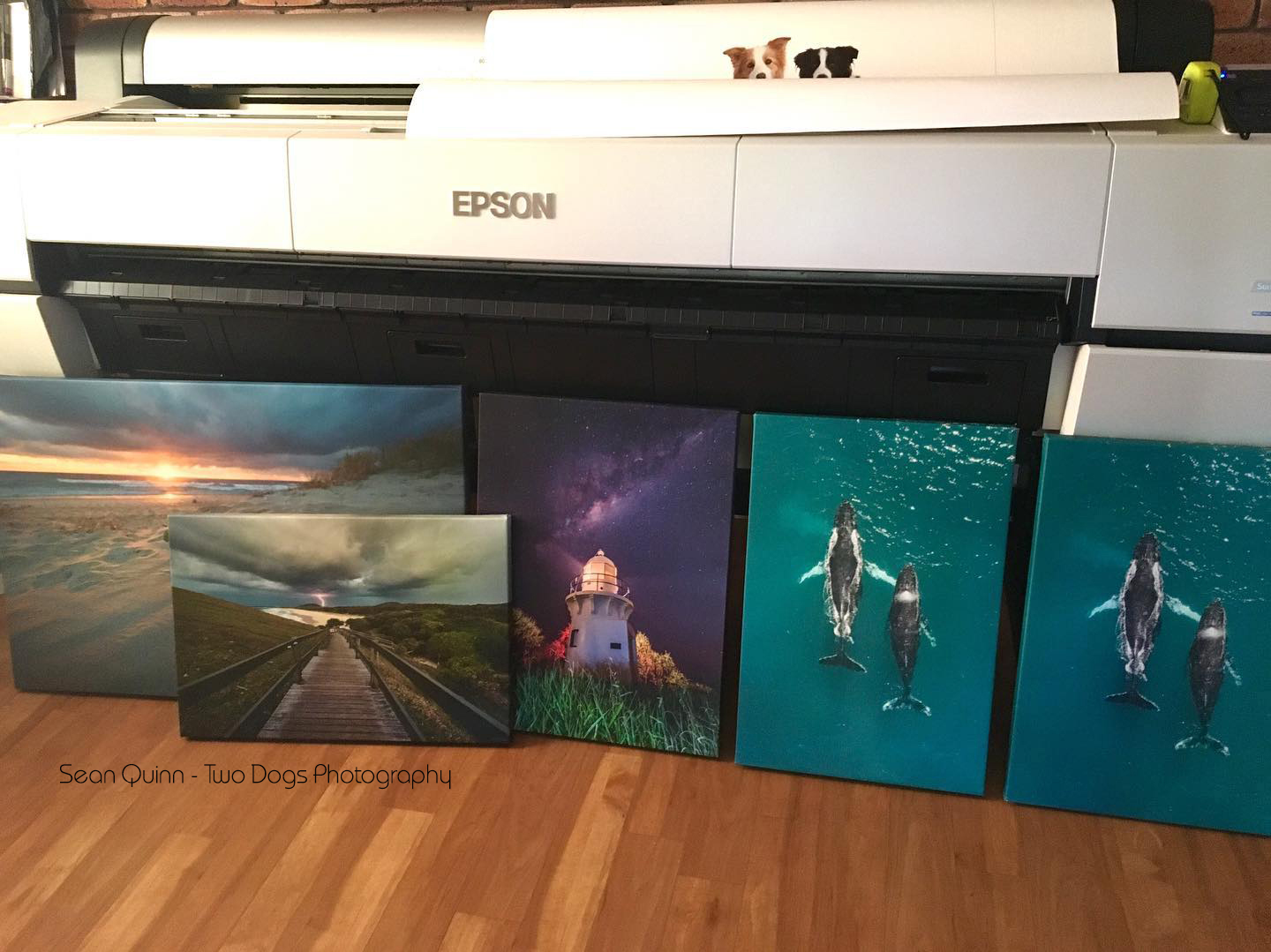EVPhoto_ProServices_Projects (25).jpg