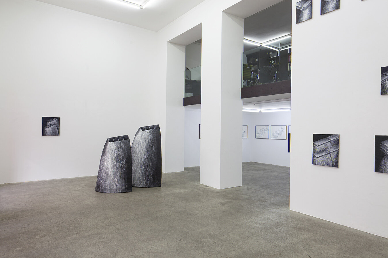 Galerie Johann Widauer-Exhibition-2015-Beatrix-Sunkovsky-05.jpg