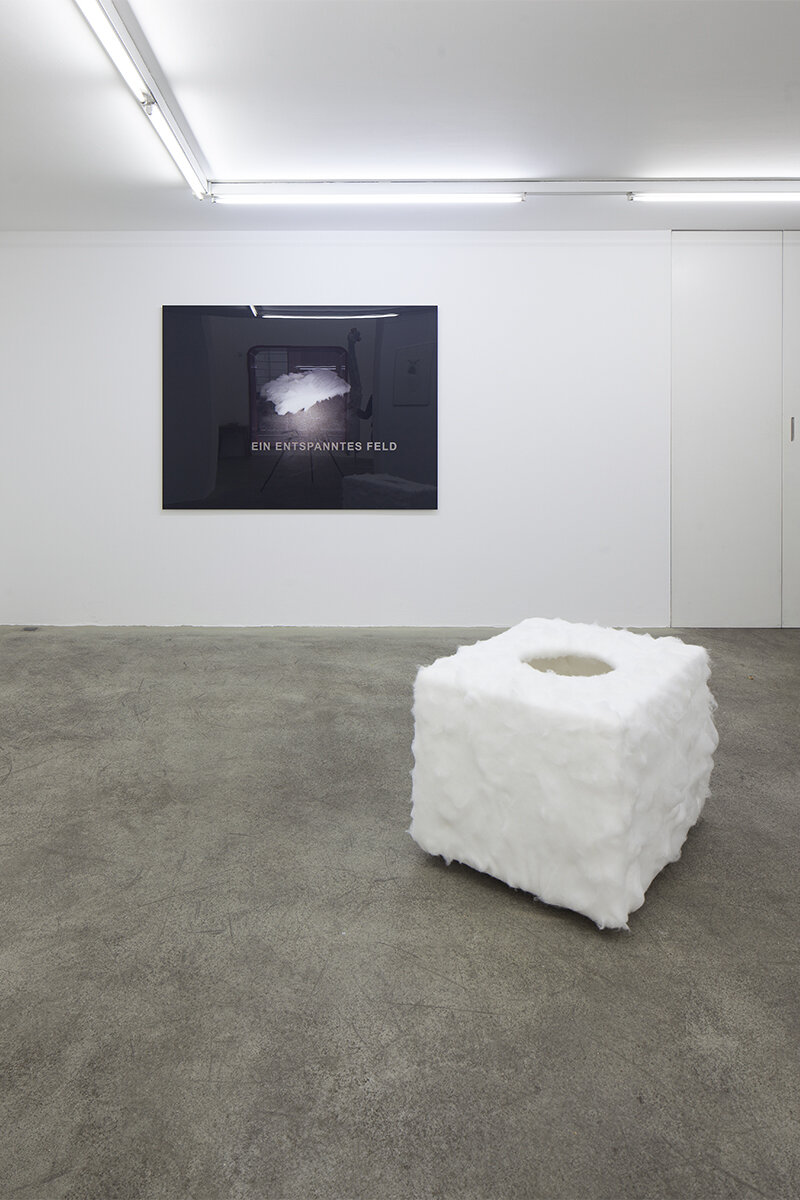 Galerie Johann Widauer-Exhibition-2012-Martin-Gostner-Georg-Herold-10.jpg