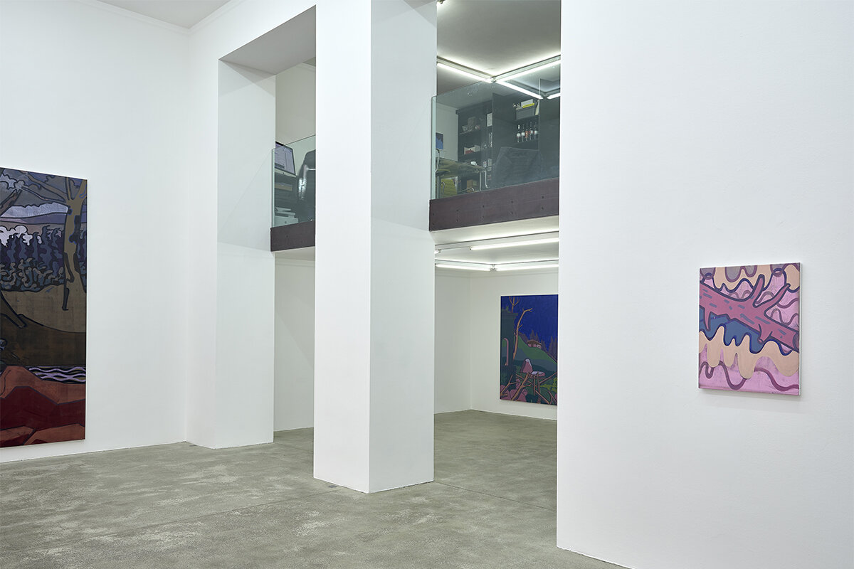 Galerie Johann Widauer-Exhibition-2019-Hubert-Schmalix-01c.jpg