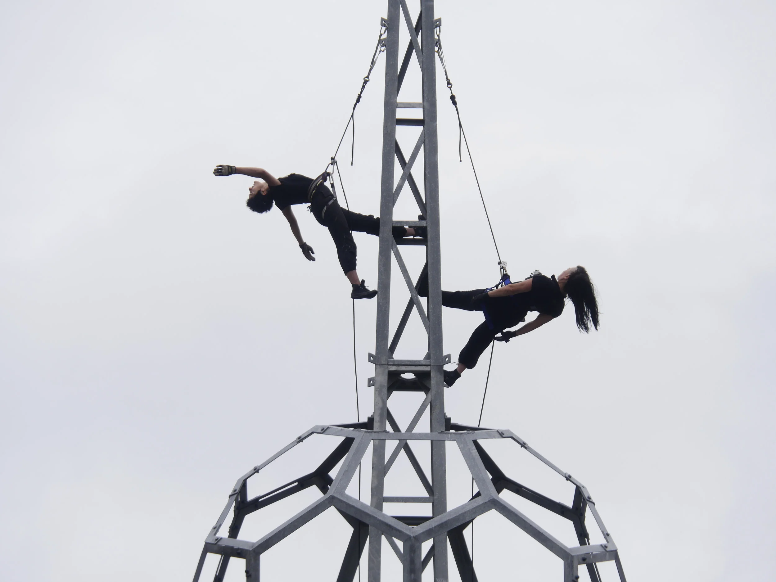 Transmission2.Photo credit Twilark.jpg