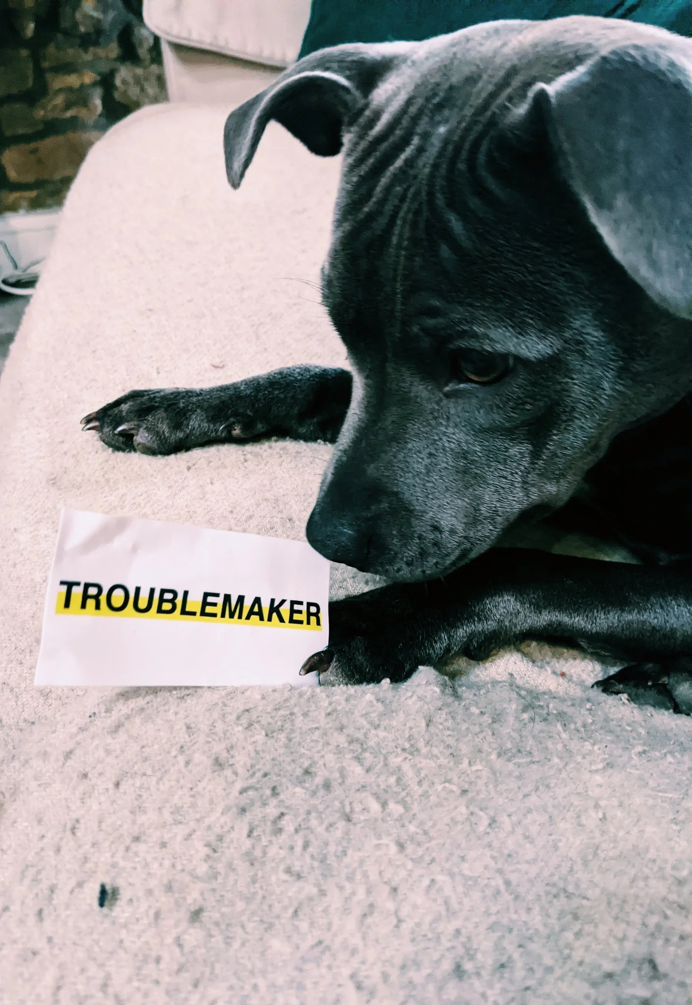 RALLY SECOND BIRTHDAY PHOTOS16.jpeg