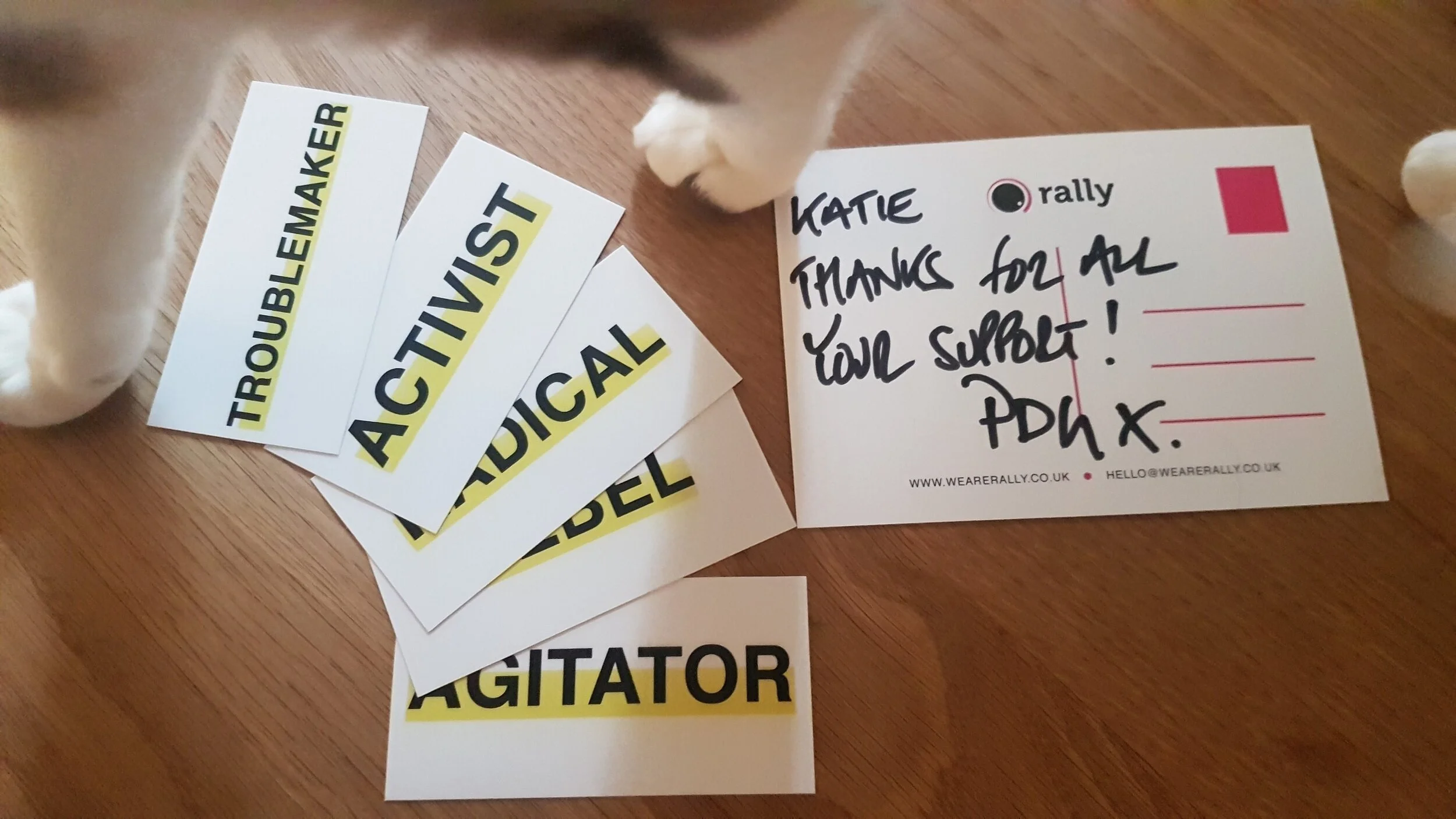 RALLY SECOND BIRTHDAY PHOTOS15.jpeg