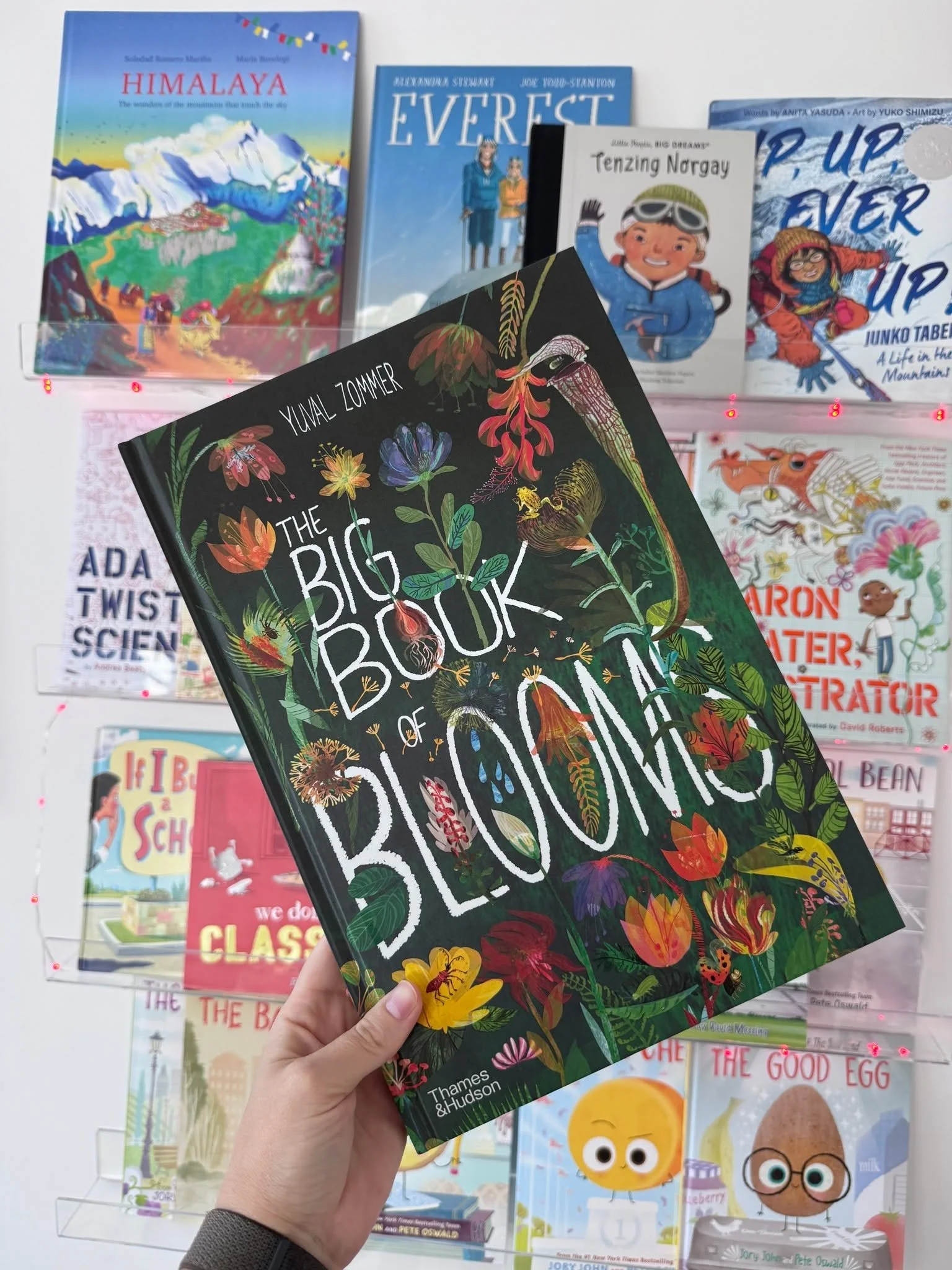 🌿🌸 A stunning celebration of nature with The Big Book of Blooms by Yuval Zommer! Bursting with vibrant illustrations and fascinating facts, this beautiful nonfiction book invites children to explore the incredible world of flowers, plants, and the 