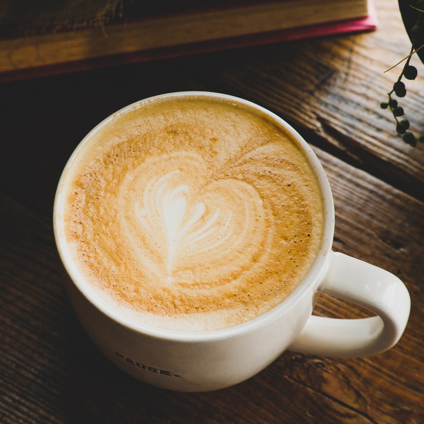 Clinging onto these last few days of Fall before the snow sets in 🍂 Wrap your hands around a hot latte while crunching through fallen leaves as a crisp breeze tickles your nose. ☕ 𝘞𝘦'𝘳𝘦 𝘰𝘱𝘦𝘯 𝘶𝘯𝘵𝘪𝘭 7𝘱𝘮.

#huronohio #gatheringgroundscof