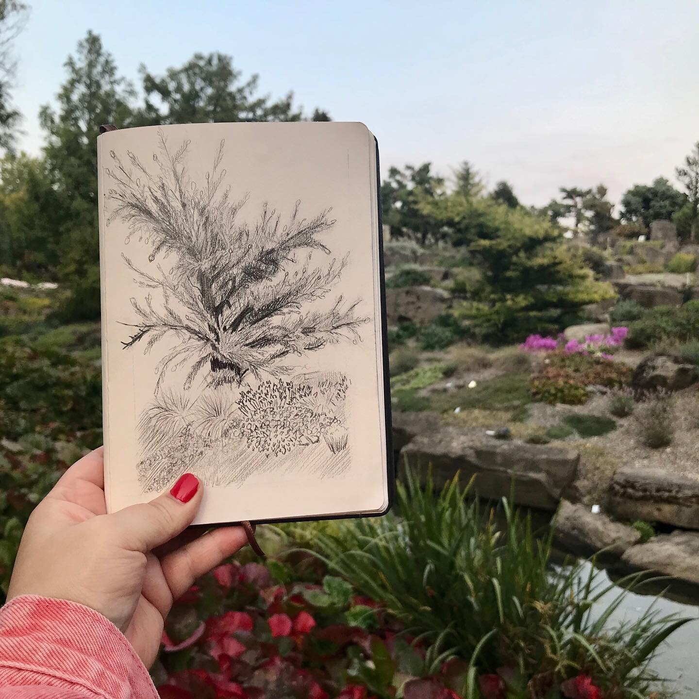 I have a nemesis: #coniferous 🌲trees 🌲  They kick my ass every time and they annoy me to no end!!! 
Day 25 #stradaeasel #stradaeaselchallenge #stradaeaselchallenge2020 
&mdash;
#graphitedrawing #graphite #pleinair #pleinairpainting #urbansketchers 