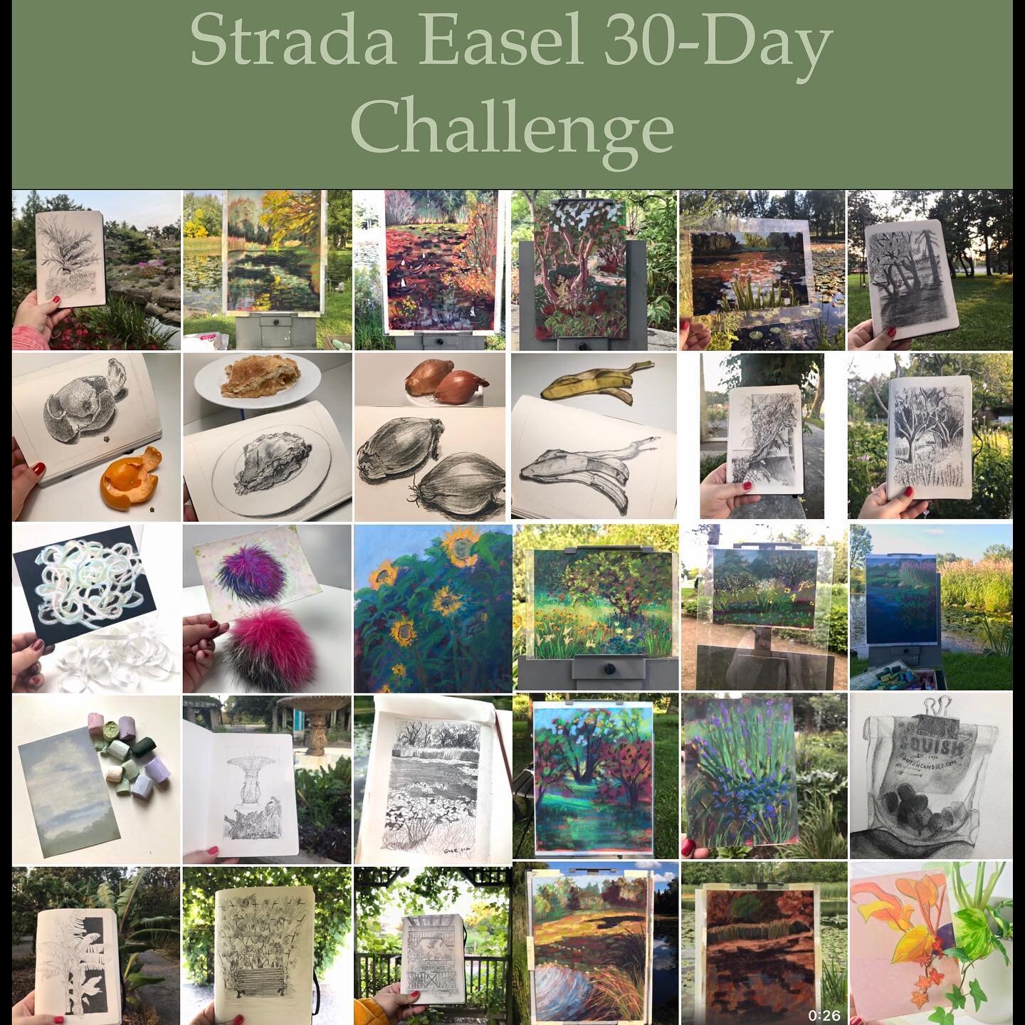 30 days of drawing and paint feom life.
#stradaeasel #stradaeaselchallenge #stradaeaselchallenge2020
