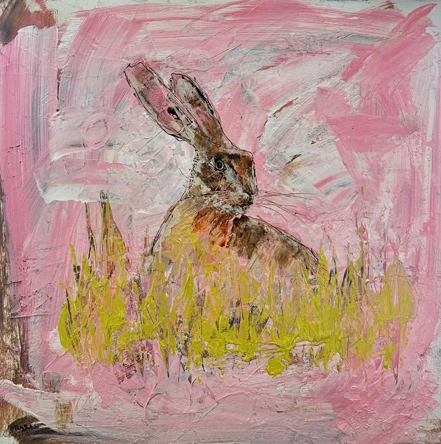 Spring Hare