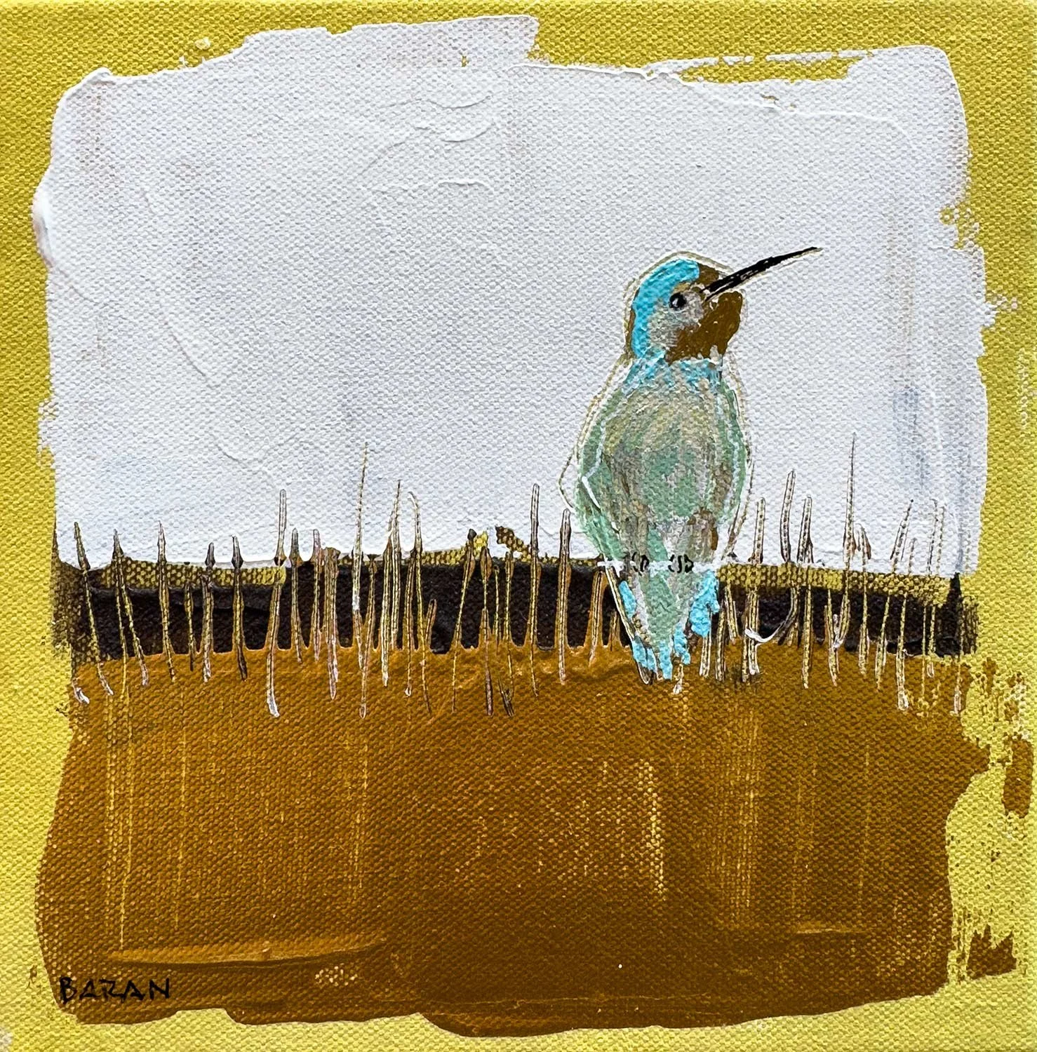 Colibri Vingt-quatre