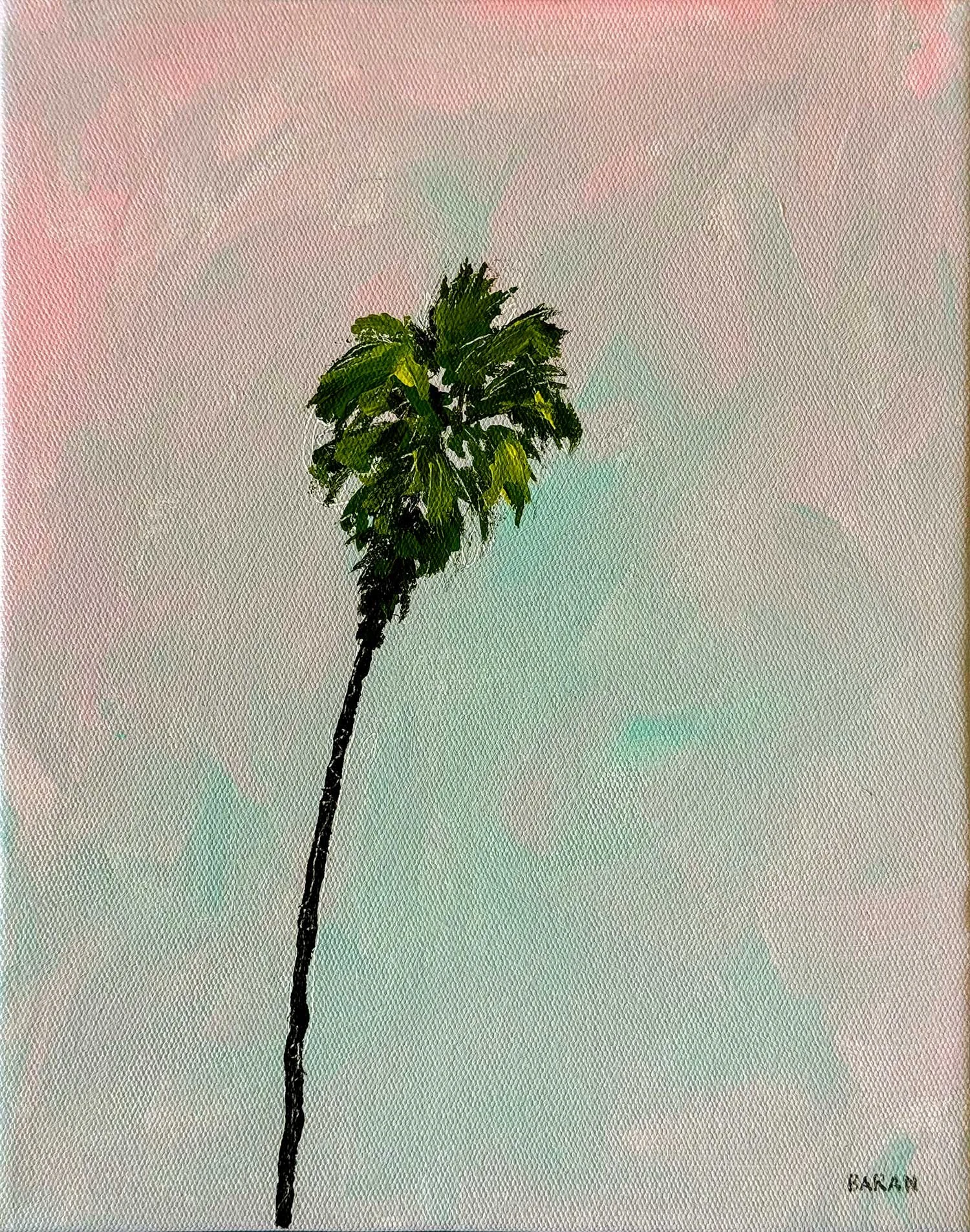 East Beach Lone Palm