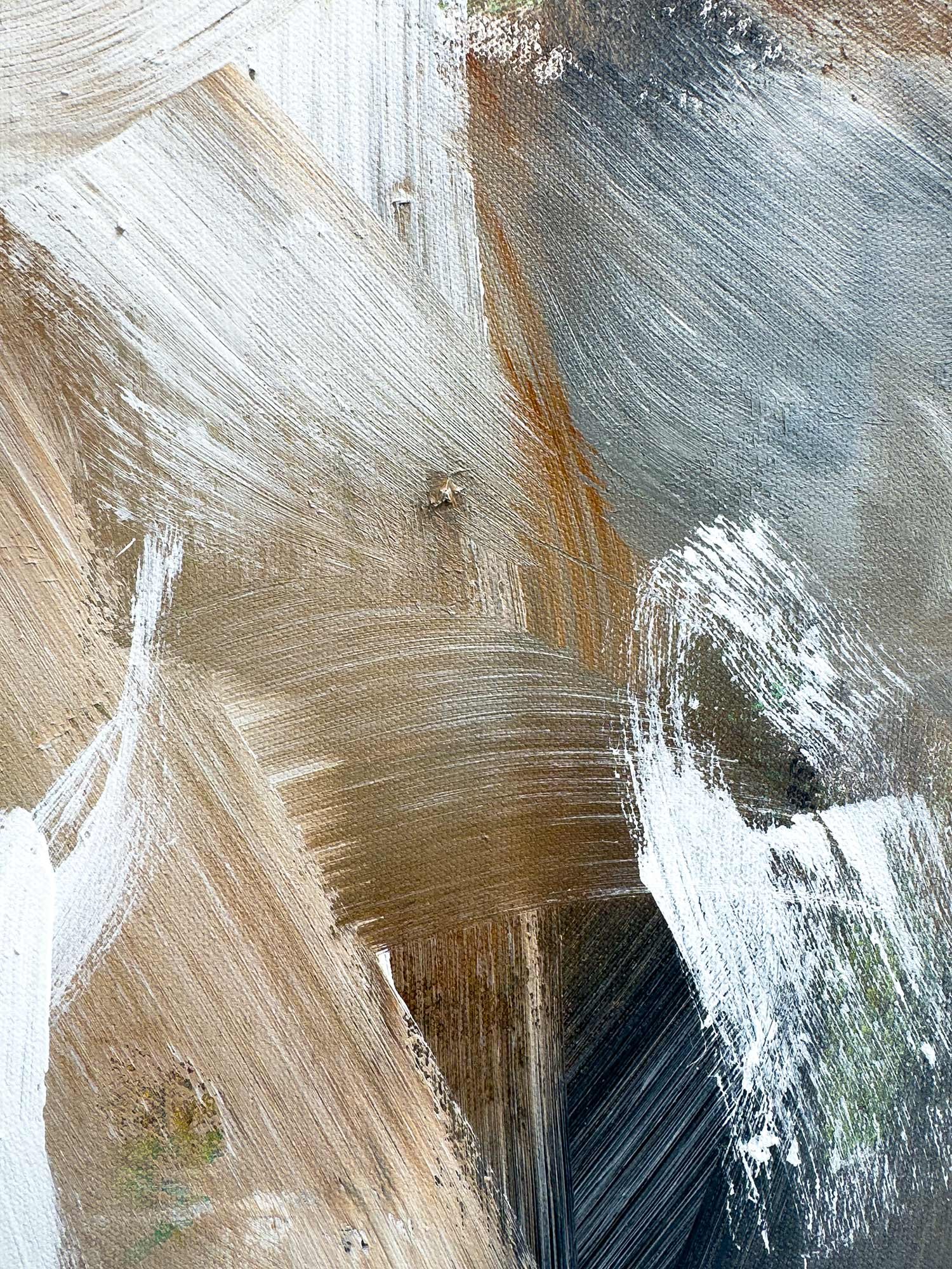 John-Baran-Fine-Art-Bison-Close up Detail.jpg